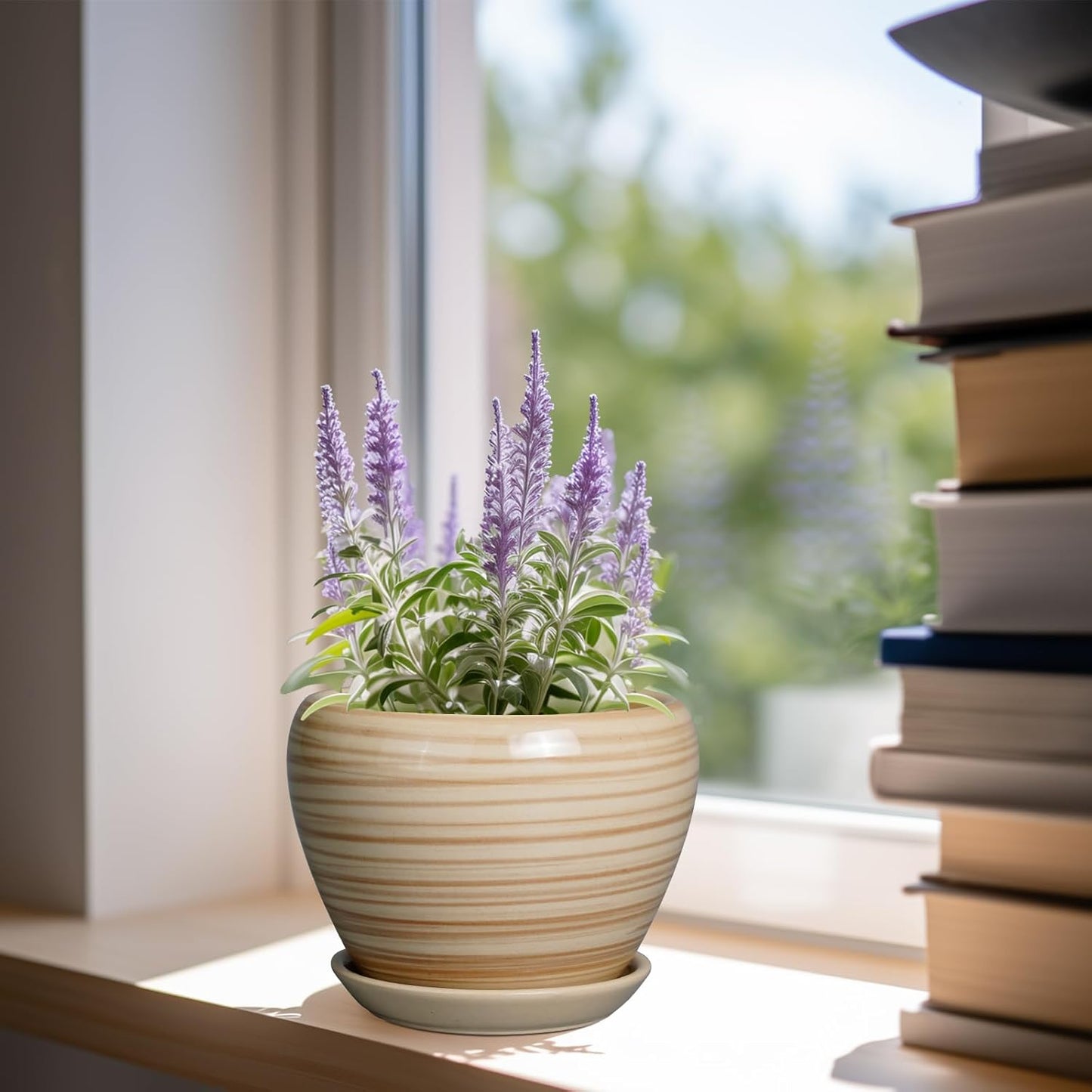 6 Inch Plant Pot Ceramic - Decorative Planter for Indoor Plants Succulent Pot with Drainage Hole and Saucer Round Planter Outdoor Flower Pot for House Patio Yellow