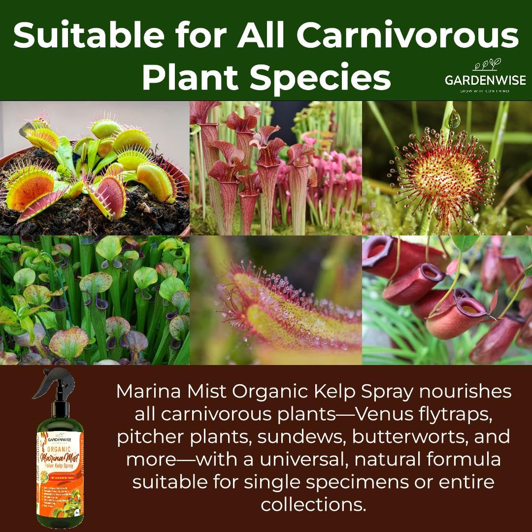 100% Organic Marina Mist Carnivorous Plant Food | Liquid Kelp Foliar Spray for Plants - Kelp Fertilizer for Venus Flytraps, Sundew, Butterworts, Pitcher Plants 16 Oz