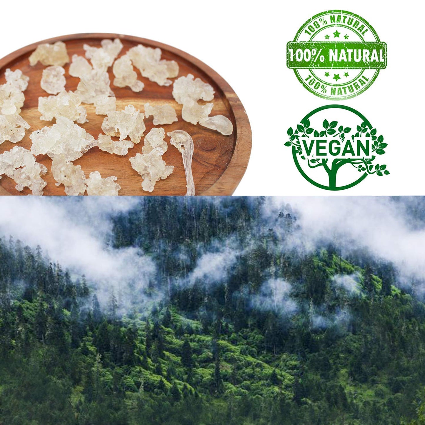 DABC OAK LAND Natural Wild Tragacanth Gum Snow Swallow (Xueyan) 補水保濕 天然野生雪燕 8OZ, Packed in USA