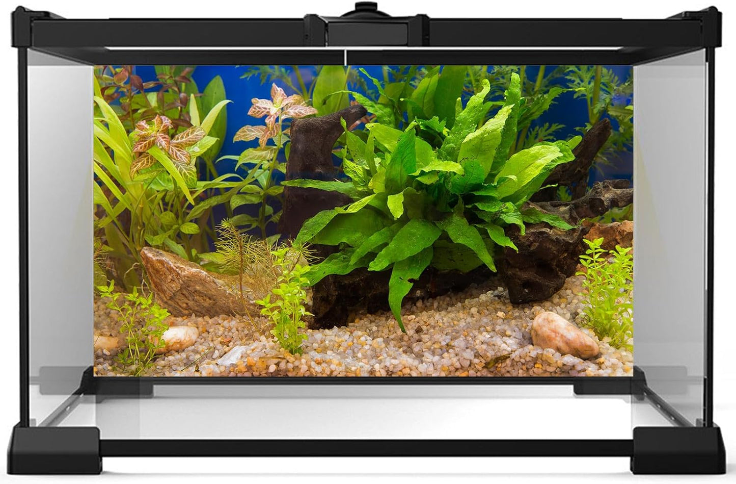 Fish Tank Background Underwater Grass Leaves Pebble Aquarium Background Vivid Green Aquatic Plant Terrarium Background Stone River Bed Fish Dead Wood Leaves Tank Background 30x12in