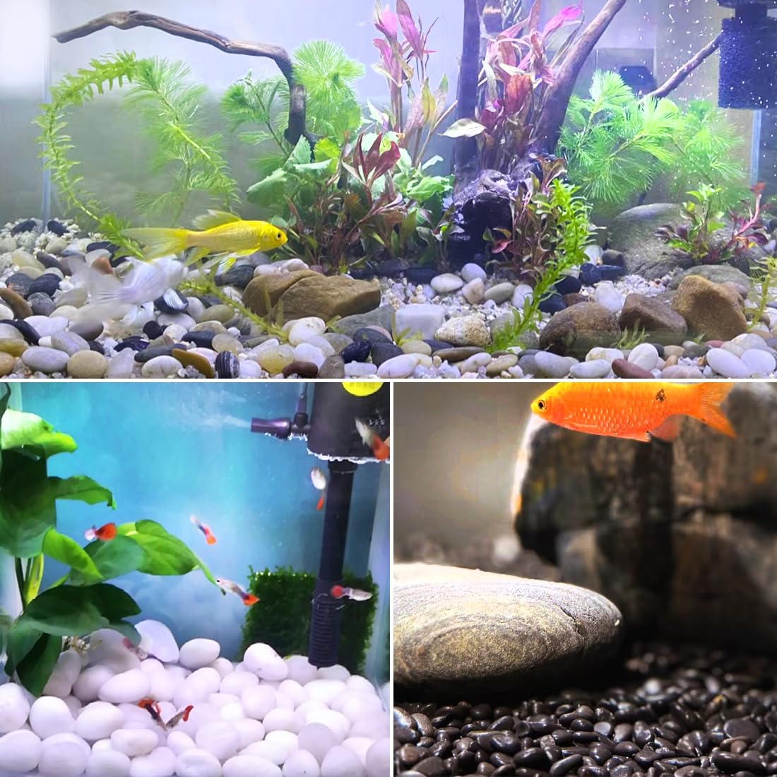 20lbs Mixed Color Outdoor Decorative Stones, 2-3 Inch High Polished River Rocks for Indoor Plants, Large Pebbles for Vase Filler Fish Tank Aquariums Landscaping Garden