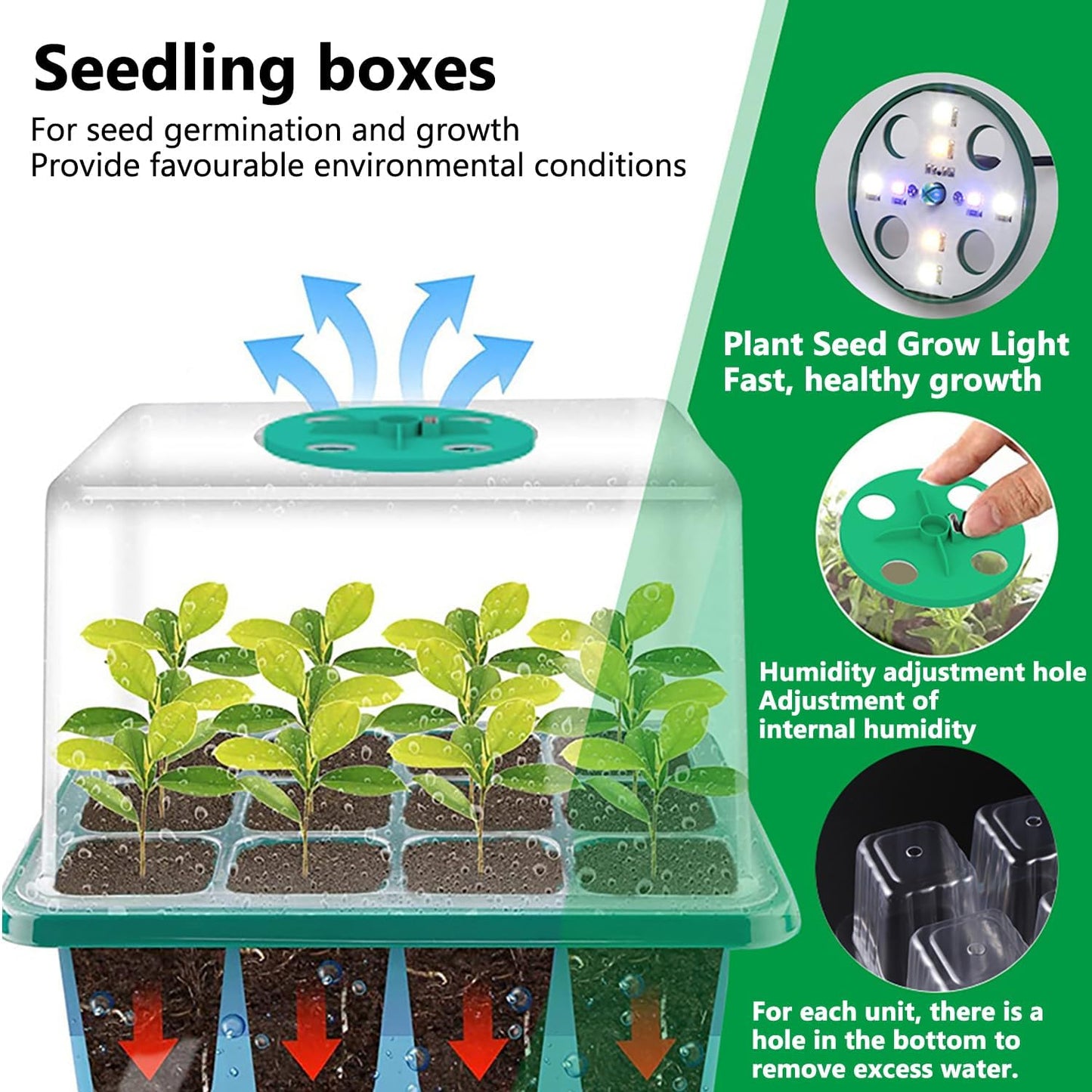 6-Pack Seed Starter Tray Kit with Grow Light, Adjustable Brightness & Timing Controller, Seedling Trays with Humidity Domes & Heightened Lids, Thicken Design, Ideal for Indoor Plant Growth
