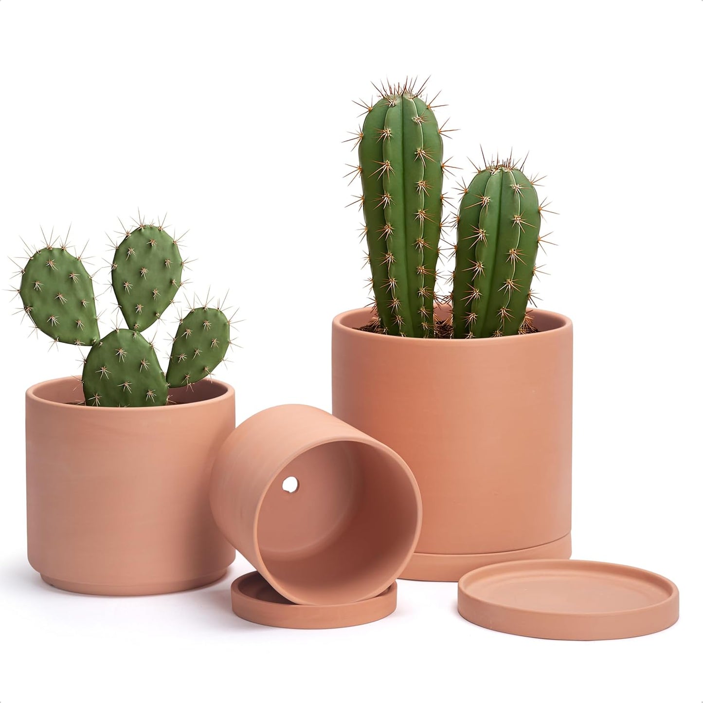 D'vine Dev Terracotta Pots for Plants, 6.5 Inch 8.3 Inch 10 Inch, Round Cylinder Planter Pot with Drainage and Saucer, 40-T-C-0