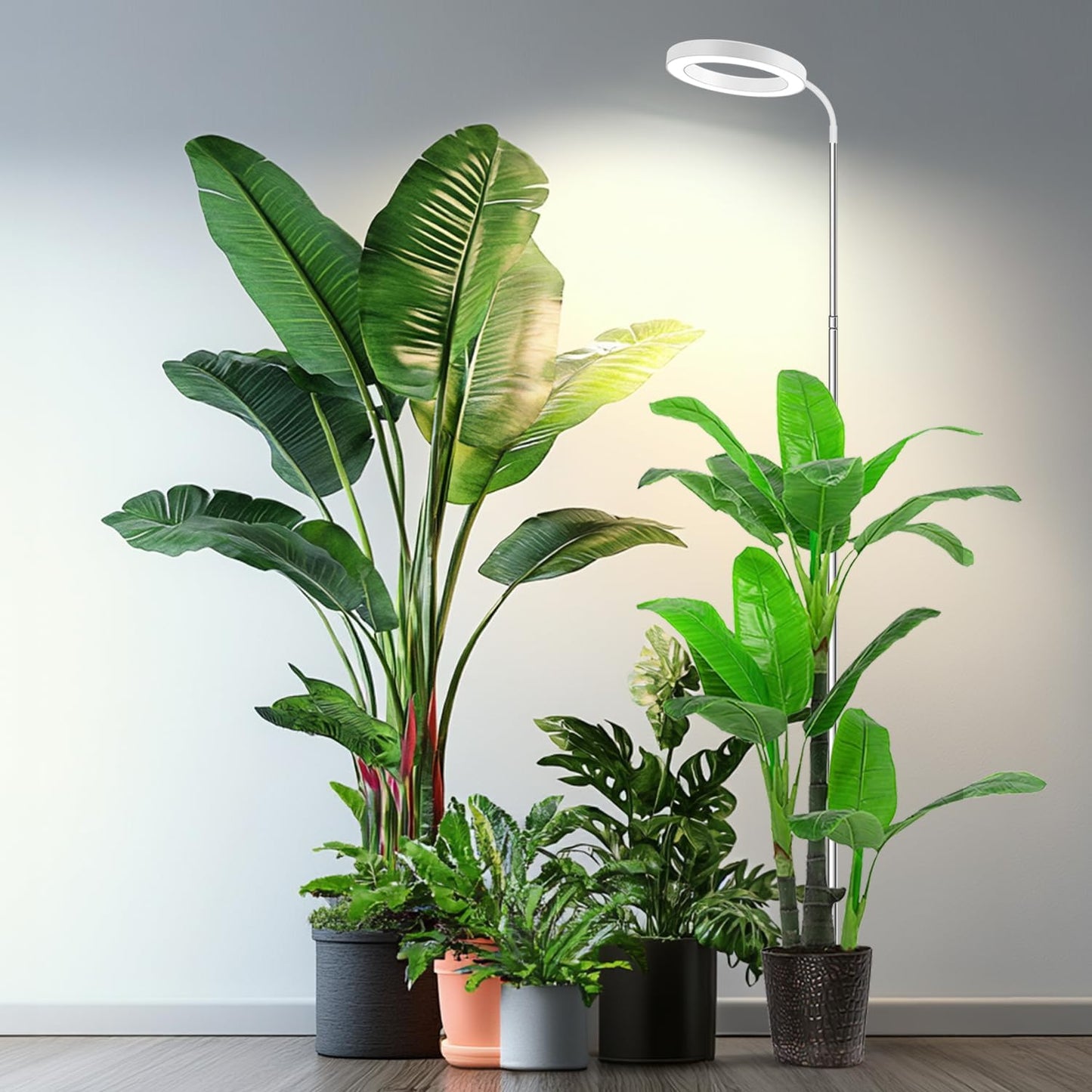 Garpsen Plant Light, 80 LEDs Full Spectrum Grow Lights for Indoor Plants with 360° Gooseneck, 6/12/16H Timer, 3 Colors Modes and 5 Dimmable Levels, 65'' Height Grow Lamp for Large Plants(White)