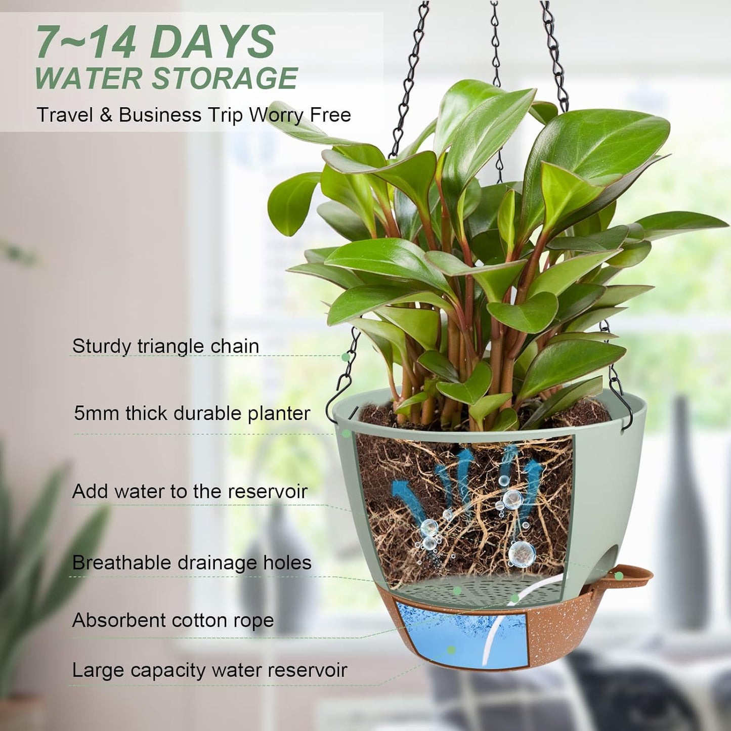 Hanging Planters for Indoor Outdoor Plants, 2 Pack Self Watering Hanging Pot with Drainage Holes & Removable Tray (Green, 10'')