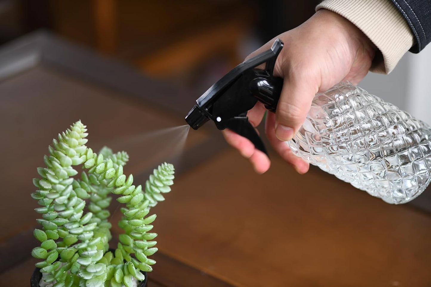 Glass Handheld Spray Bottle - 12oz Refillable Bottle ，Adjustable Nozzle Watering Can for Garden Plants Cleaning Solutions (Clear)