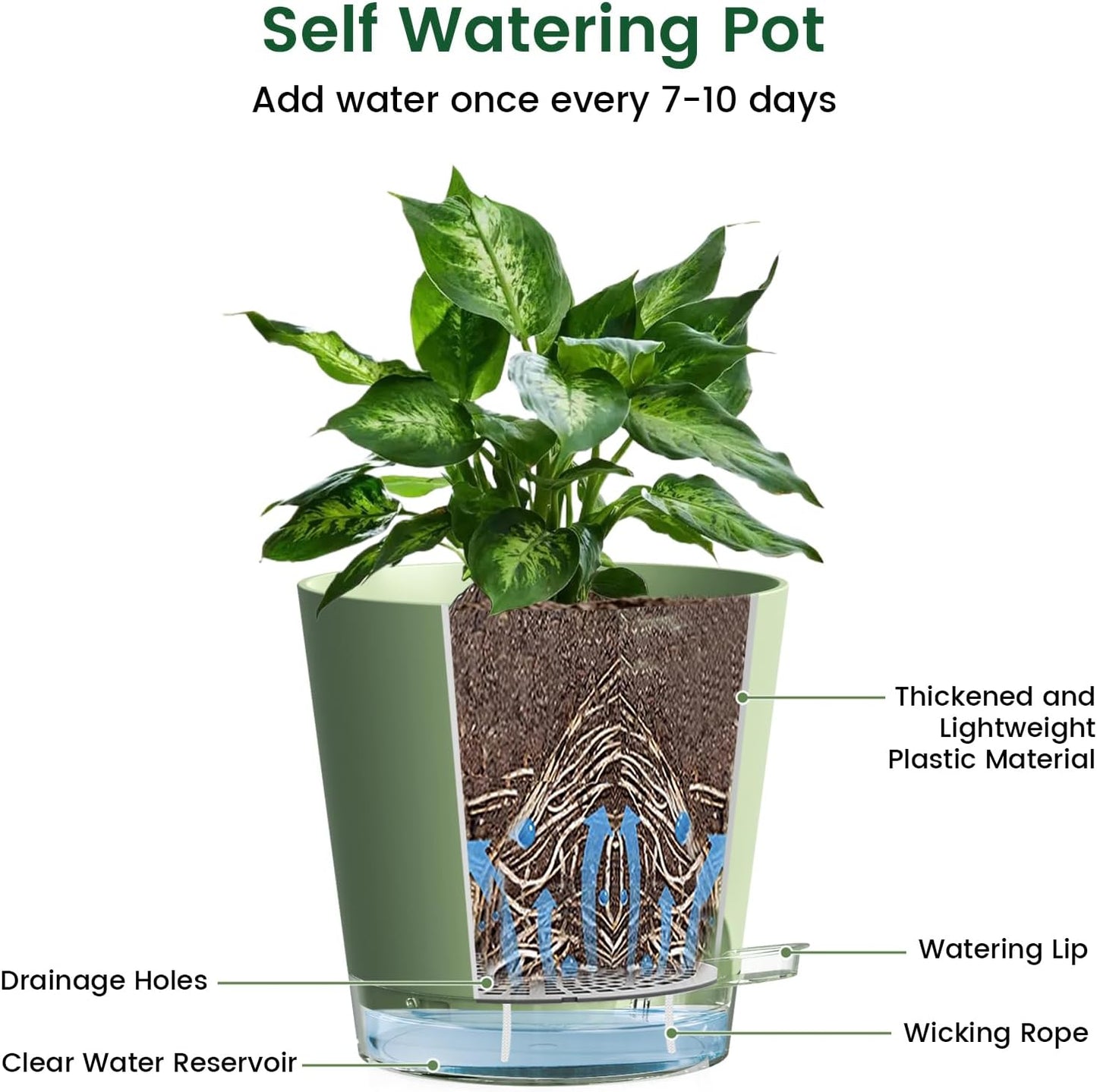 6 inch Self Watering Pots for Indoor Outdoor Plants, 6 Pack Flower Plant Pots with Drainage Holes and Clear Reservoirs, Visible Water Level, Plastic Planters with Wicking Rope, Green