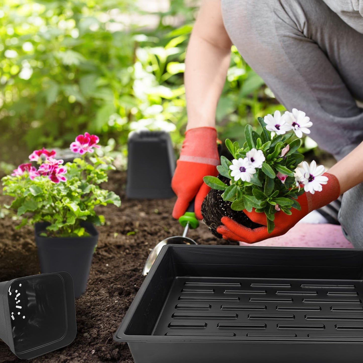 3.5 inch (9CM) Square Nursery Pots 60pcs, Sturdy Seedlings Trays 5 Pcs, Seeds Starter Germination Tray, Microgreenings Planter Nursery Propagation 5 Sets