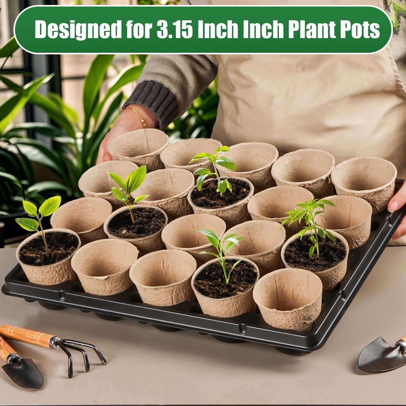 20 Cell Plant Trays for Carrying 3 inch Round Nursery Pots, Sturdy Plastic Trays Suitable for Holding 200 pcs Peat Pots (10 Packs)