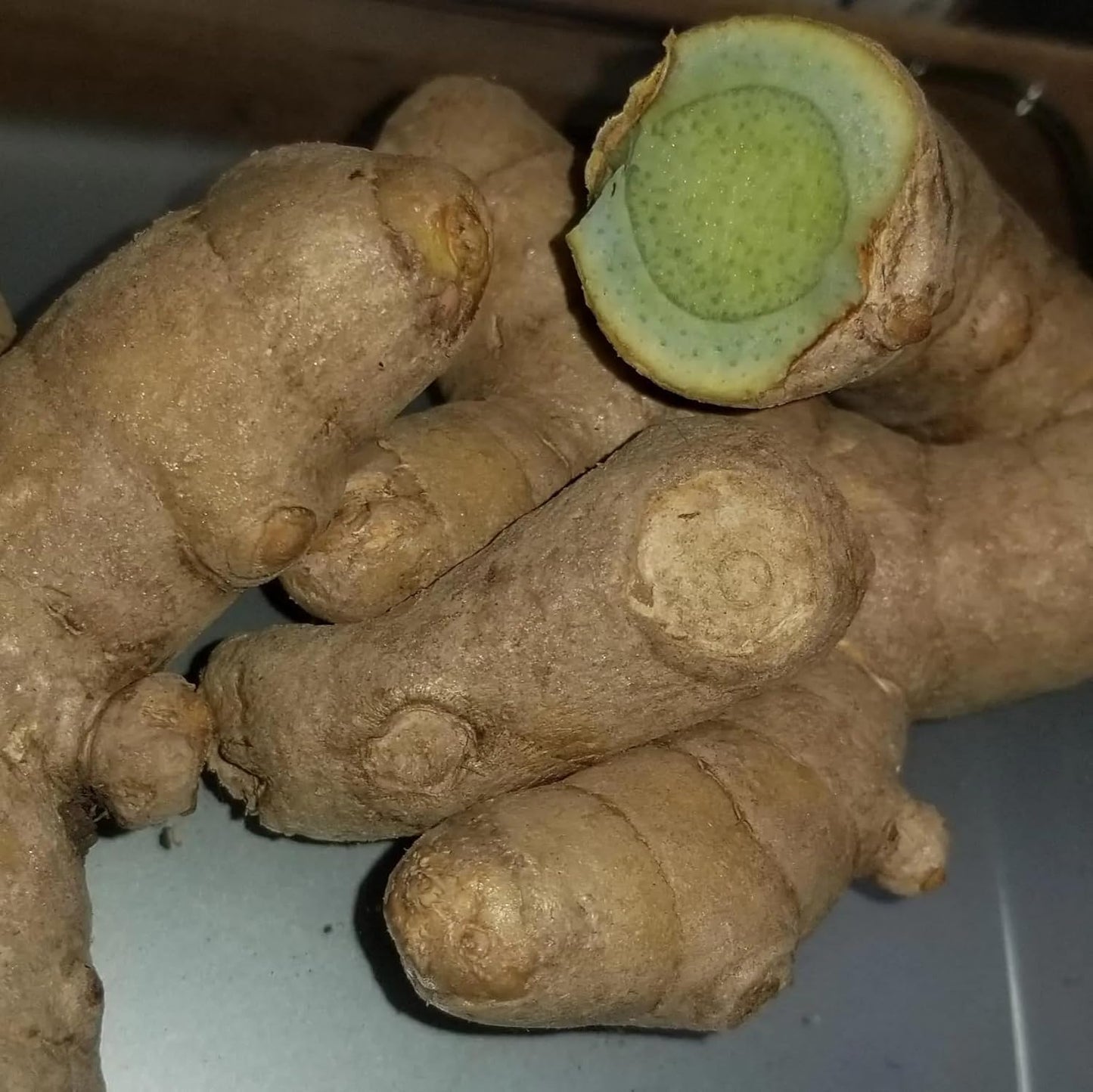 Green Turmeric Live Plant - (Curcuma aeruginosa) - Rare Medicinal Herb, Vibrant Pink Flowers, Ideal for Tropical Gardens (2 Green Turmeric Cups)