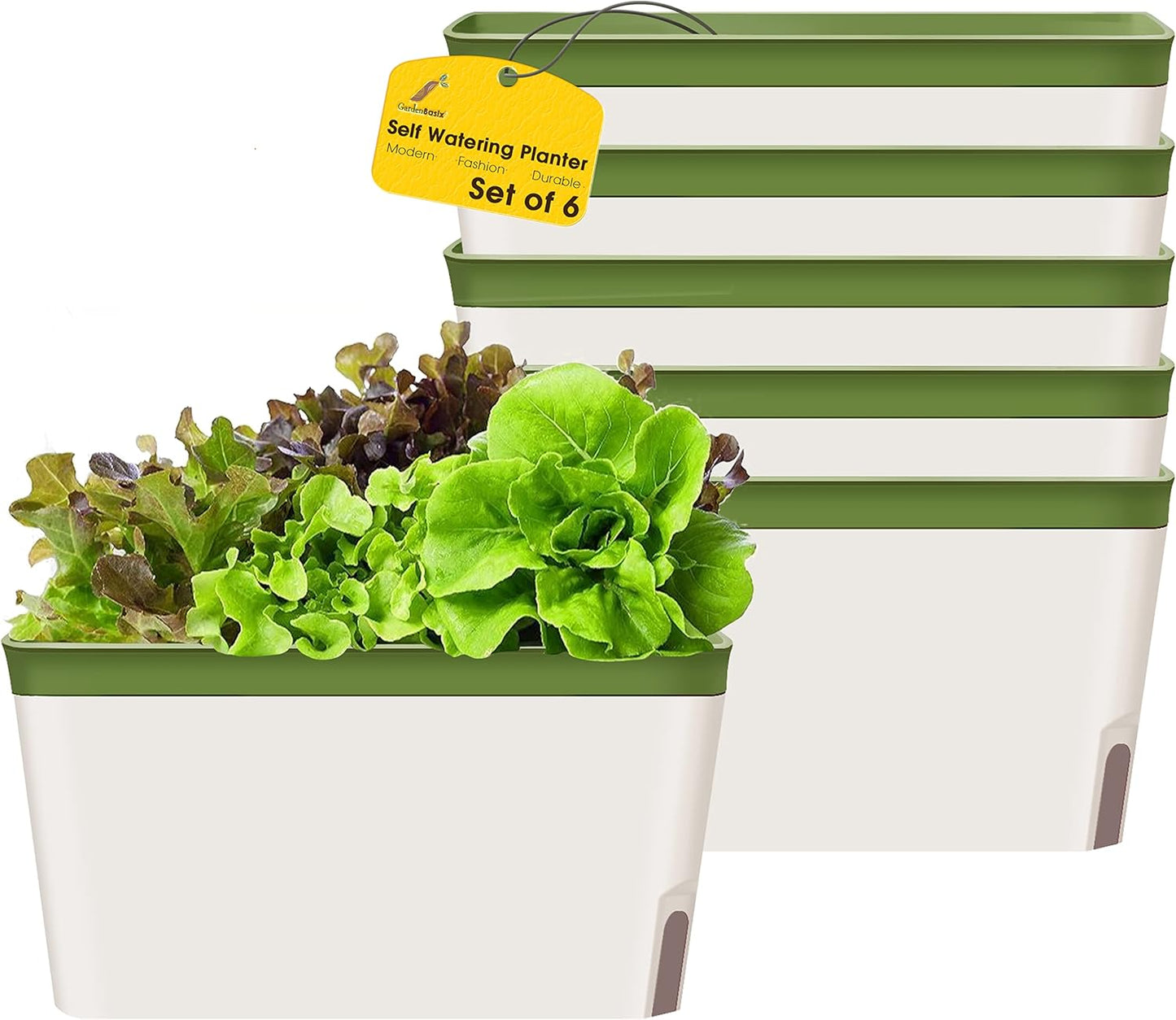 GardenBasix Self Watering Planter Pots Window Box for Indoor Plants Home Garden Modern Decorative Flower Pot for All House Herbs Succulents Set of 6 (6, Green(Rectangle))