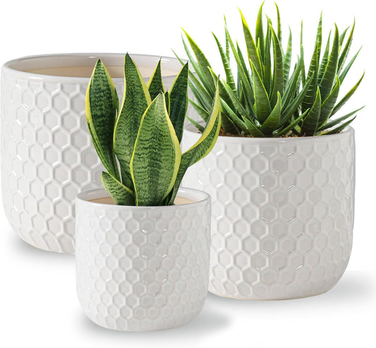 Docrin Plant Pots Indoor with Drainage: 6.4+5.3+4 Inch Ceramic Flower Pots for Plants - Set of 3 Modern Decorative Planters for House/Office/Gift - White Honeycomb