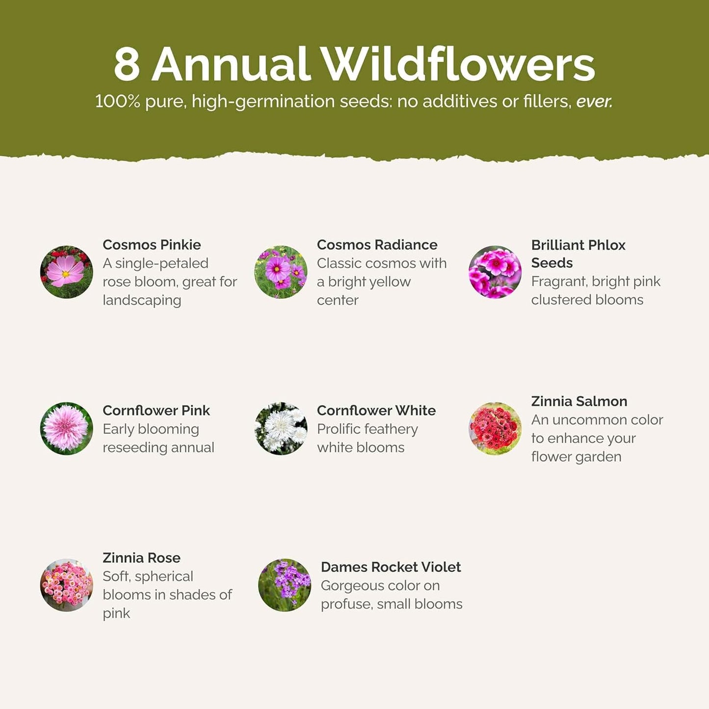 Eden Brothers Tickled Pink Flower Mixed Seeds for Planting, 1 lb, 480,000+ Seeds with Cosmos, Cornflower, Zinnia | Attracts Pollinators, Plant in Spring or Fall, Zones 3, 4, 5, 6, 7, 8, 9, 10