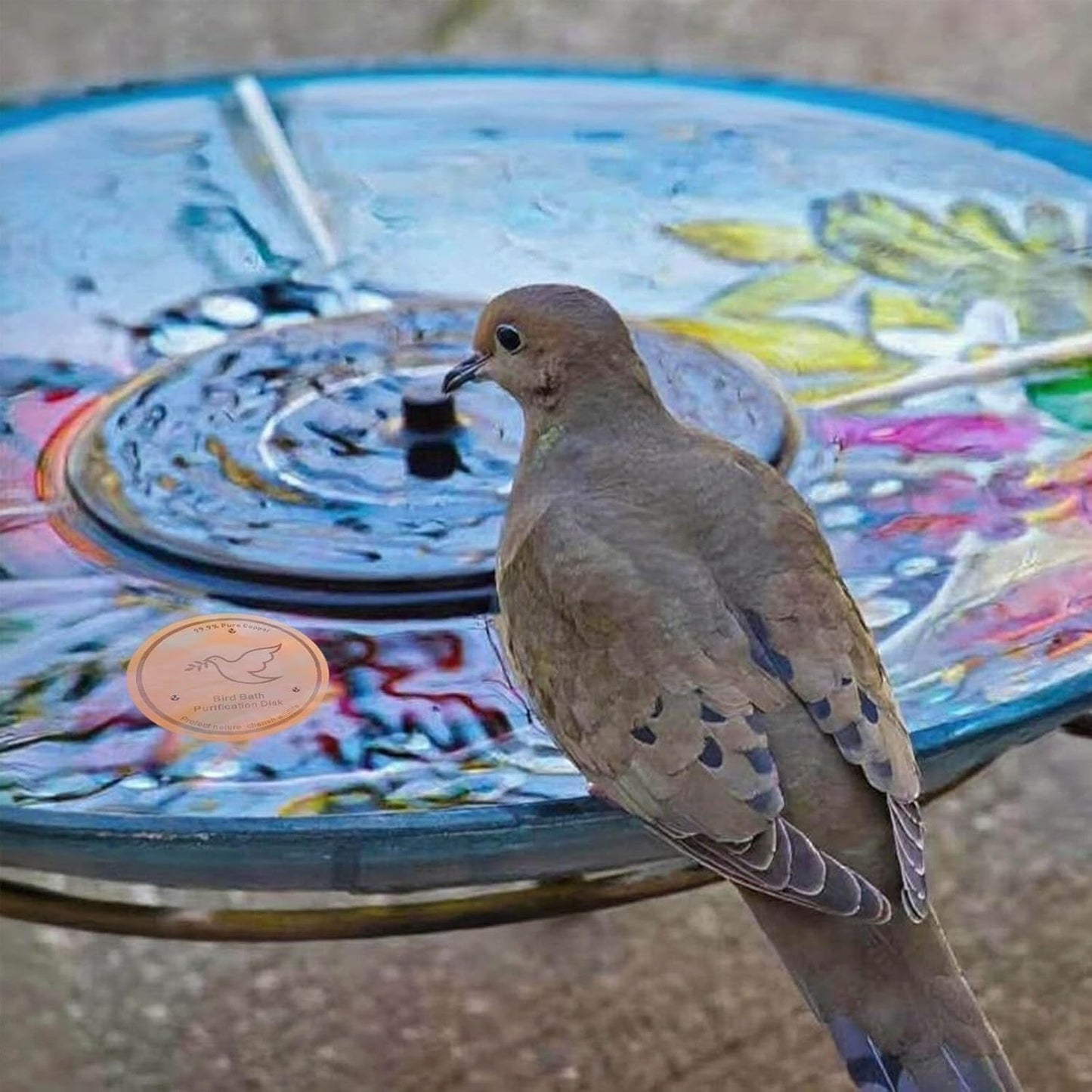 3Pack Bird Bath Copper Purification Disk | 0.6mm Reinforced 99.9% Pure Copper | Universal Fit for Outdoor Birdbaths(Birdbath Copper 3 Pack)