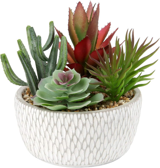 Briful Small Fake Plants Assorted Faux Succulents in Pots Realistic Succulents Plants Artificial with Cement Pots for Home Table Office Desk Bathroom Shelf Living Room Decor