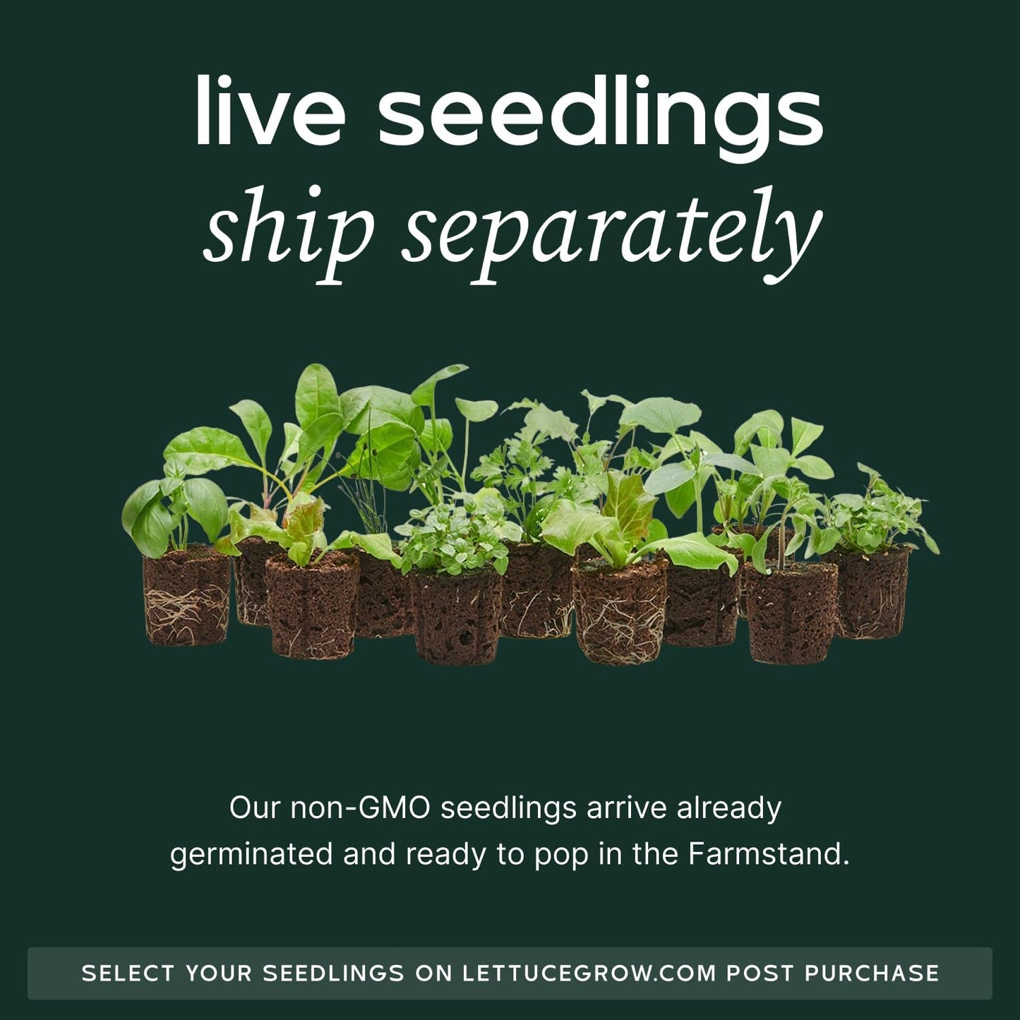 Farmstand Starter Kit + 30 Seedling Credits | Family Hydroponic Growing System Kit | Self-Watering Outdoor Vertical Garden Planter Tower | 5ft 5in | Made in USA