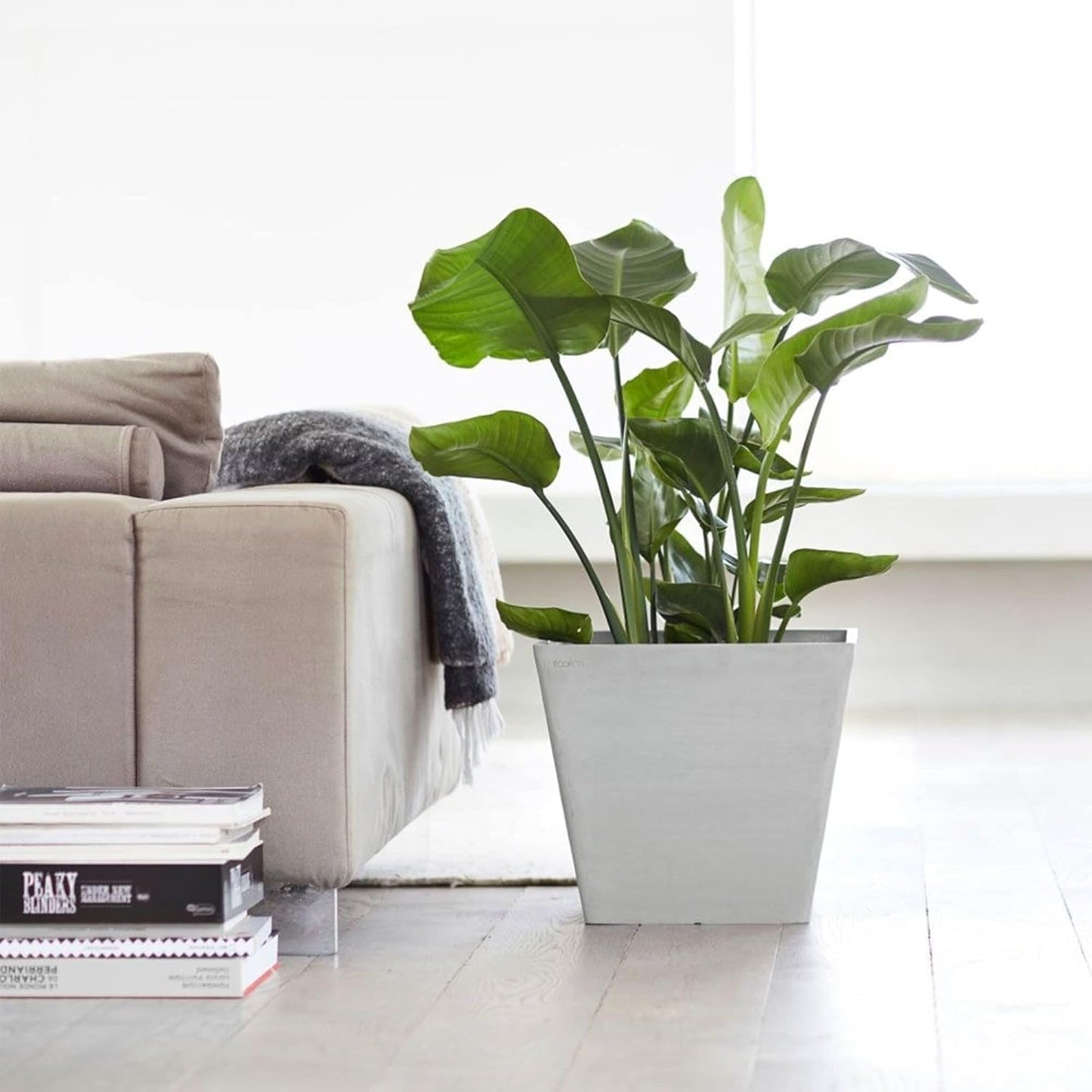 Ecopots Rotterdam Durable Modern Square Indoor/Outdoor Recycled-Based Composite Flower Planter, White Grey, 15.75"