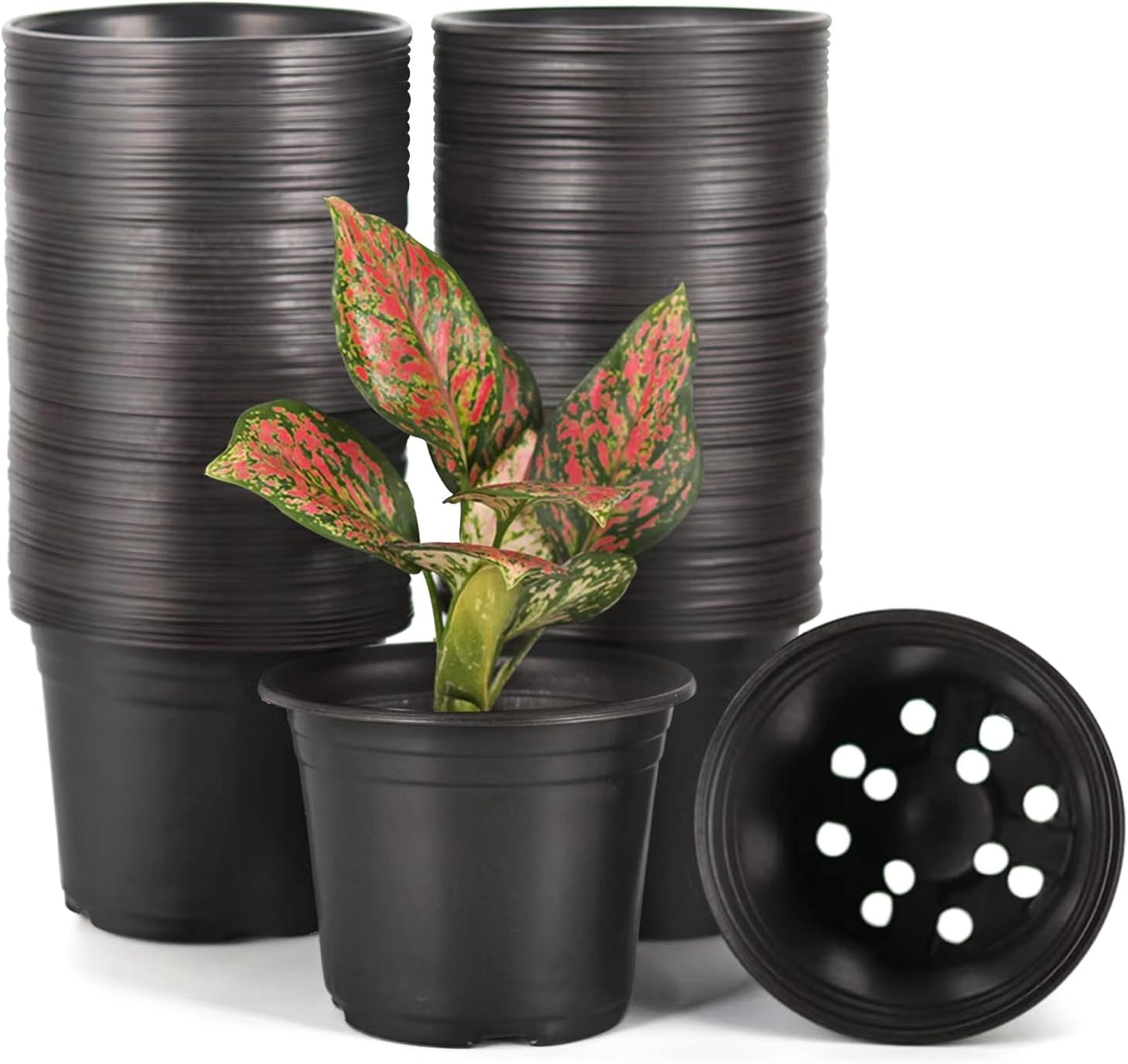 100-Pack 0.5 Gallon Flexible Plant Nursery Pots，Thickened Soft Plastic Seedling Pots,Seed Starting Pot Flower Plant Container for Succulents, Seedlings, Cuttings, Transplanting(Black)