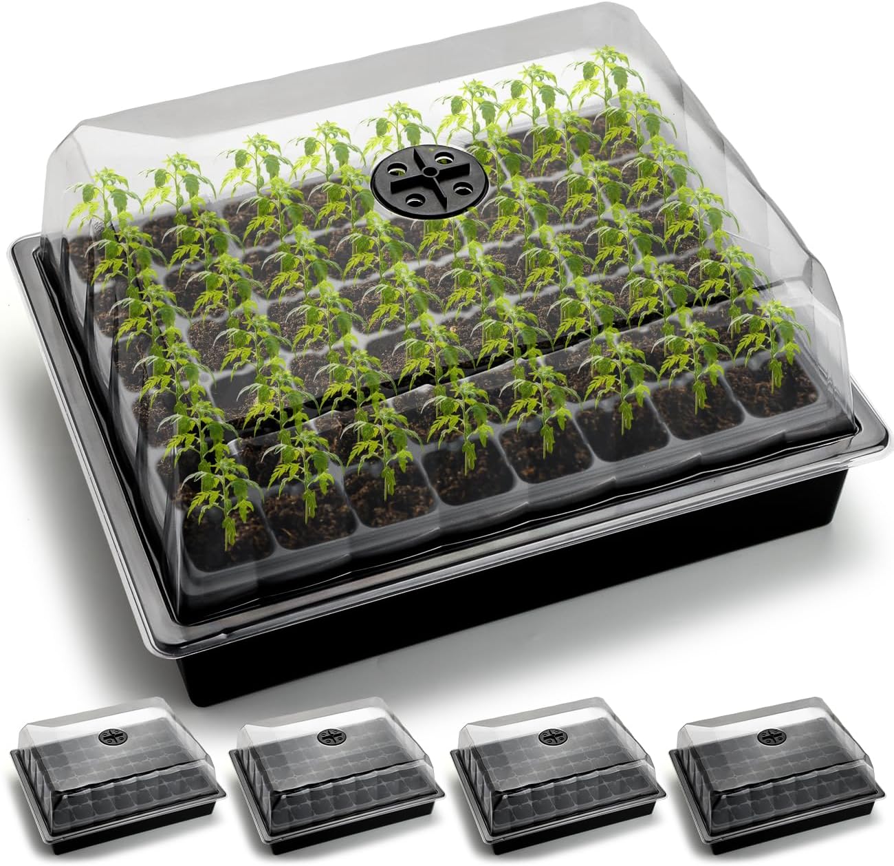 5-Pack No Drip Seed Starter Trays with 4" Humidity Dome - 240 Cells Deep Root Plug Trays, 2.76" Depth for Strong Roots Perfect for Vegetables, Herbs, Flowers & Plant Propagation, Gardening Supplies