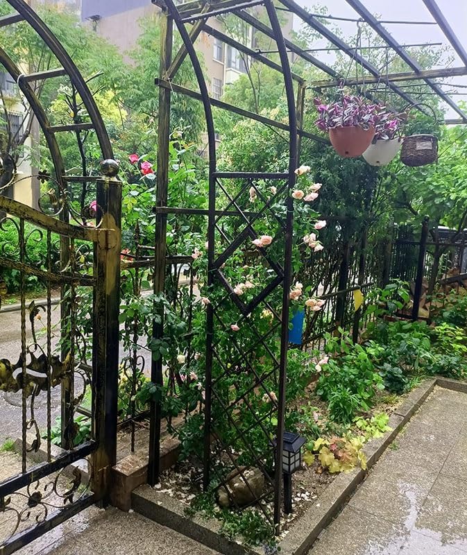 Heavy Duty Steel Garden Arbor & Trellis Arch for Grape Vines Climbing Plants Pergola Outdoor Theme Decoration Archway 180cm 260cm 340cm 140cm (Color : Black, Size : 102" W x 91" H)