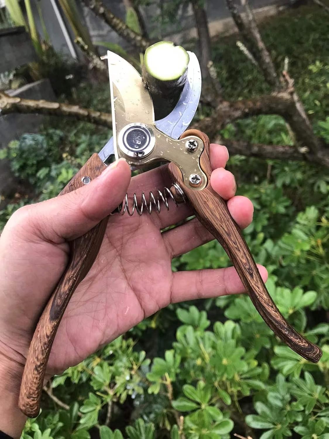 Garden Shears, Japanese Floral branch cutters, Snips for Gardening, Flower scissors Florist clippers, Hand Held Pruners for Gardening Heavy Duty, Pruning shears for garden (Wood grain)