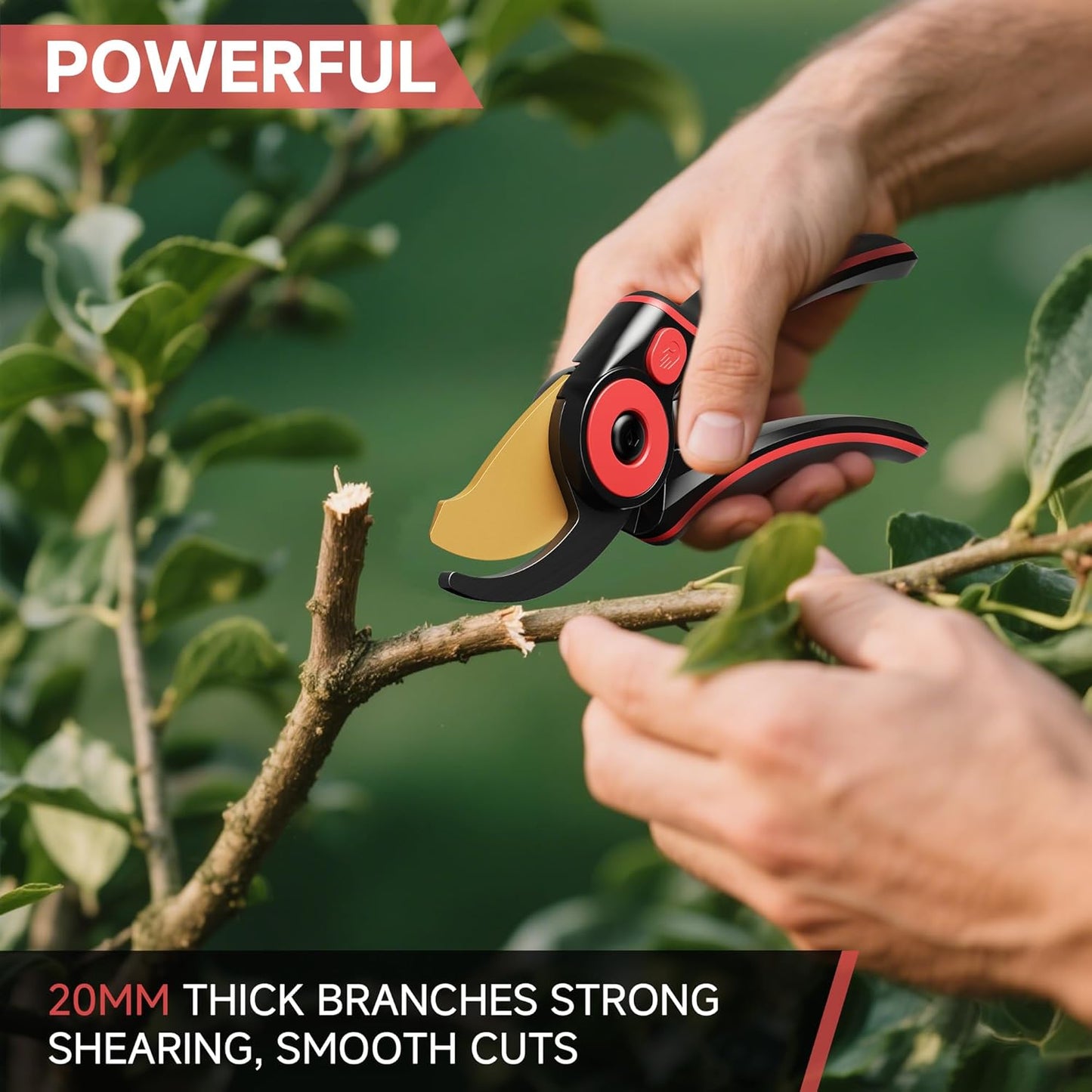 FLORA GUARD Professional Pruning Shears for Gardening, 20mm Clean Cut, SK5 Titanium-Coated Blade, Non-Stick Teflon Coating, Ergonomic TPR Handle, Garden Clippers for Men & Gardeners