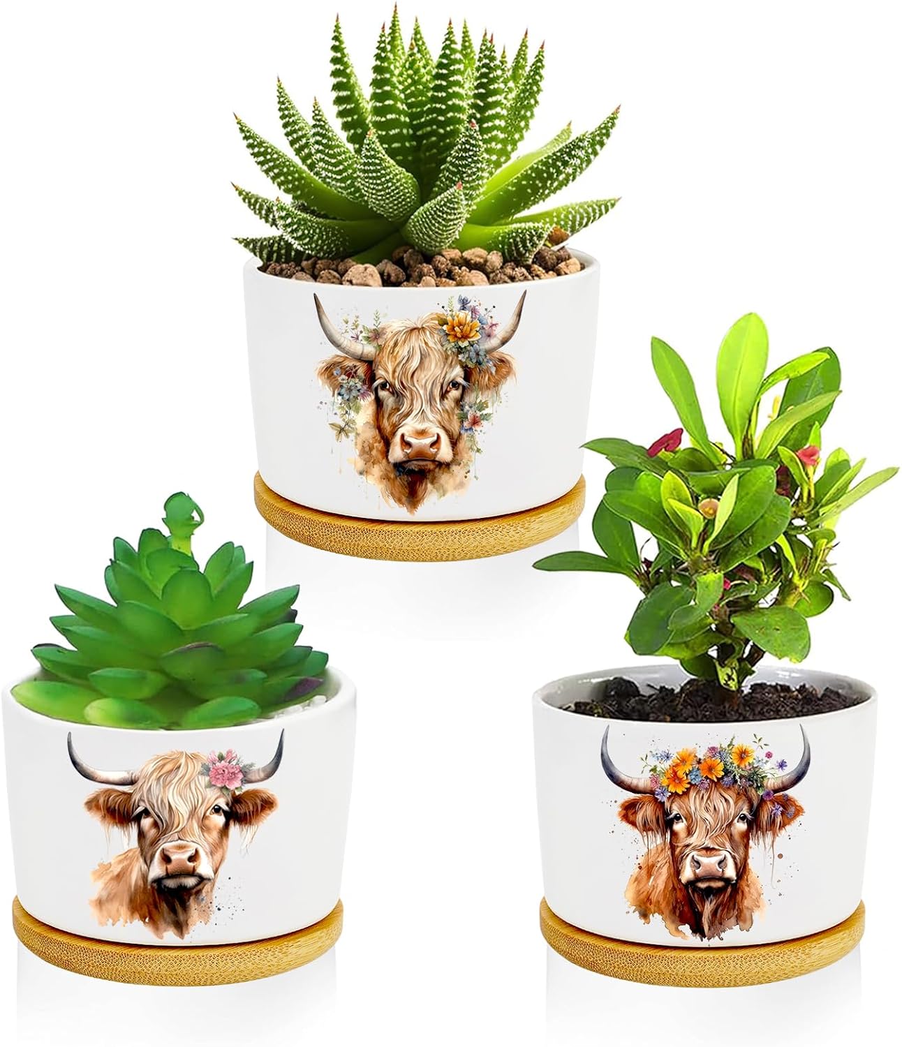 Highland Cow Succulent Pots 3 Pack, 3 Inch Succulent Planters with Drainage and Bamboo Tray, Highland Cow Gifts for Women, Ceramic Small Pots for Baby Plants, Cactus, Herbs- Plants Not Included