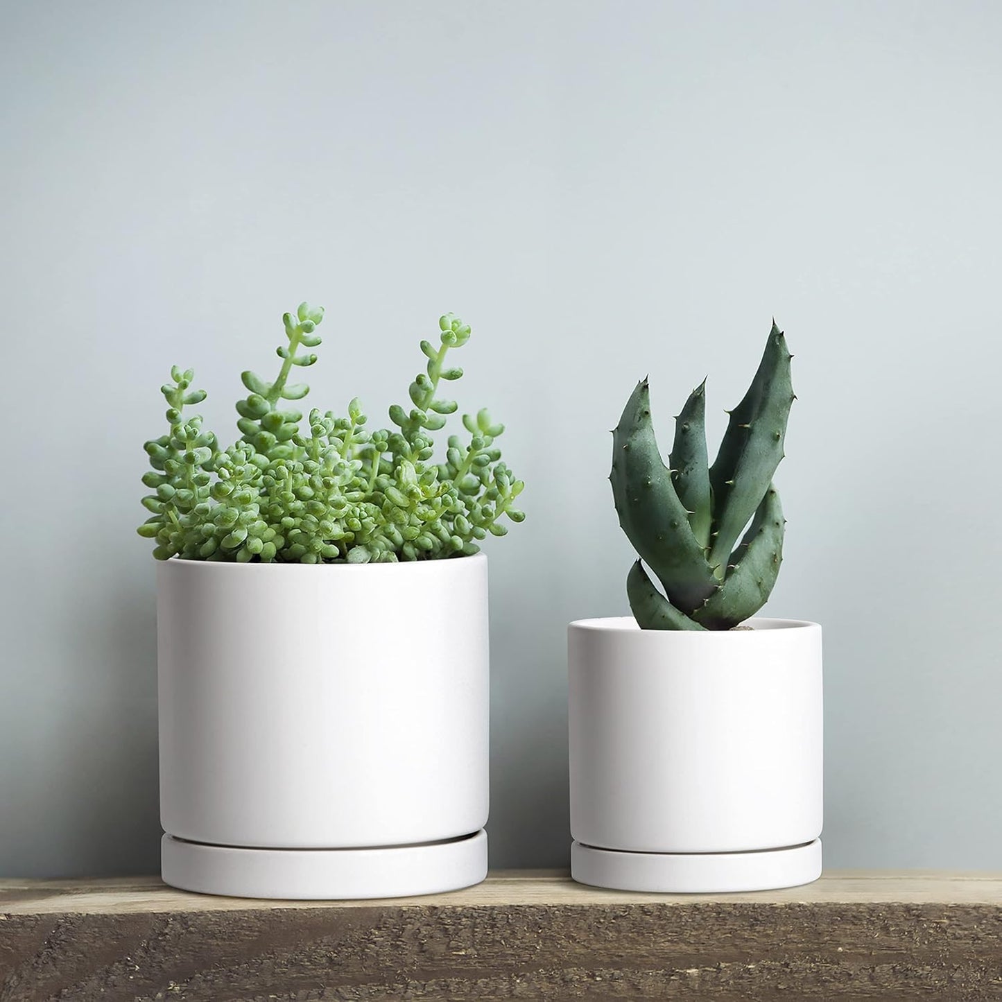 D'vine Dev White Terracotta Pots for Plants, 4.2 Inch 5.3 Inch 6.5 Inch, Succulent Planter Pot with Drainage and Saucer, 40-T-A-1