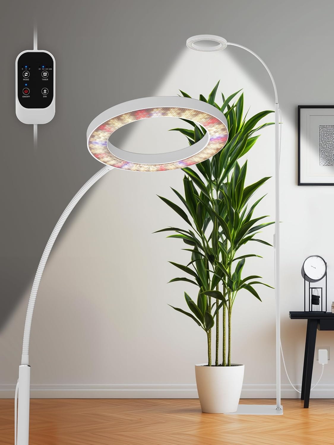 GLOWRIUM Grow Lights for Indoor Plants, 24W Full Spectrum LED Grow Light, Stepless Dimming,3 Lighting Mode and Adjustable Height, Plant Light with 3/9/12/16H Timer (White, 24W)