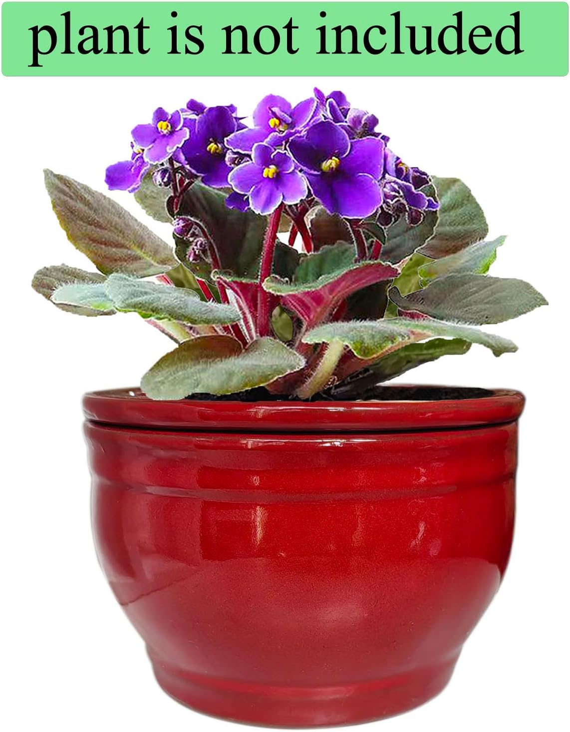 African Violet Pots Self Watering Round Ceramic Violet Pot (red, 6 inch)