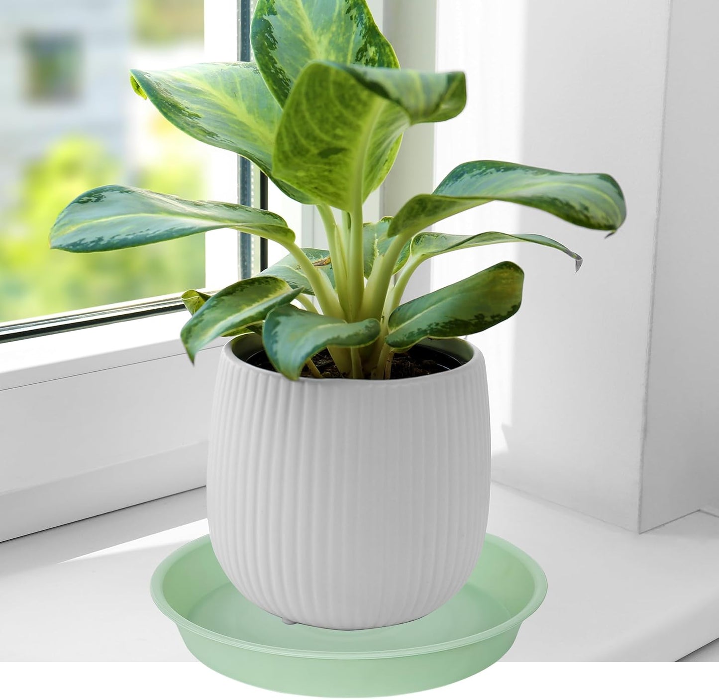 2 Pack of Bird Bath Bowl 12", 1.6" Depth, 10 12 inch Birdbath Bowls Dish Only for The Garden, Large Plant Saucer (12", Light Green)