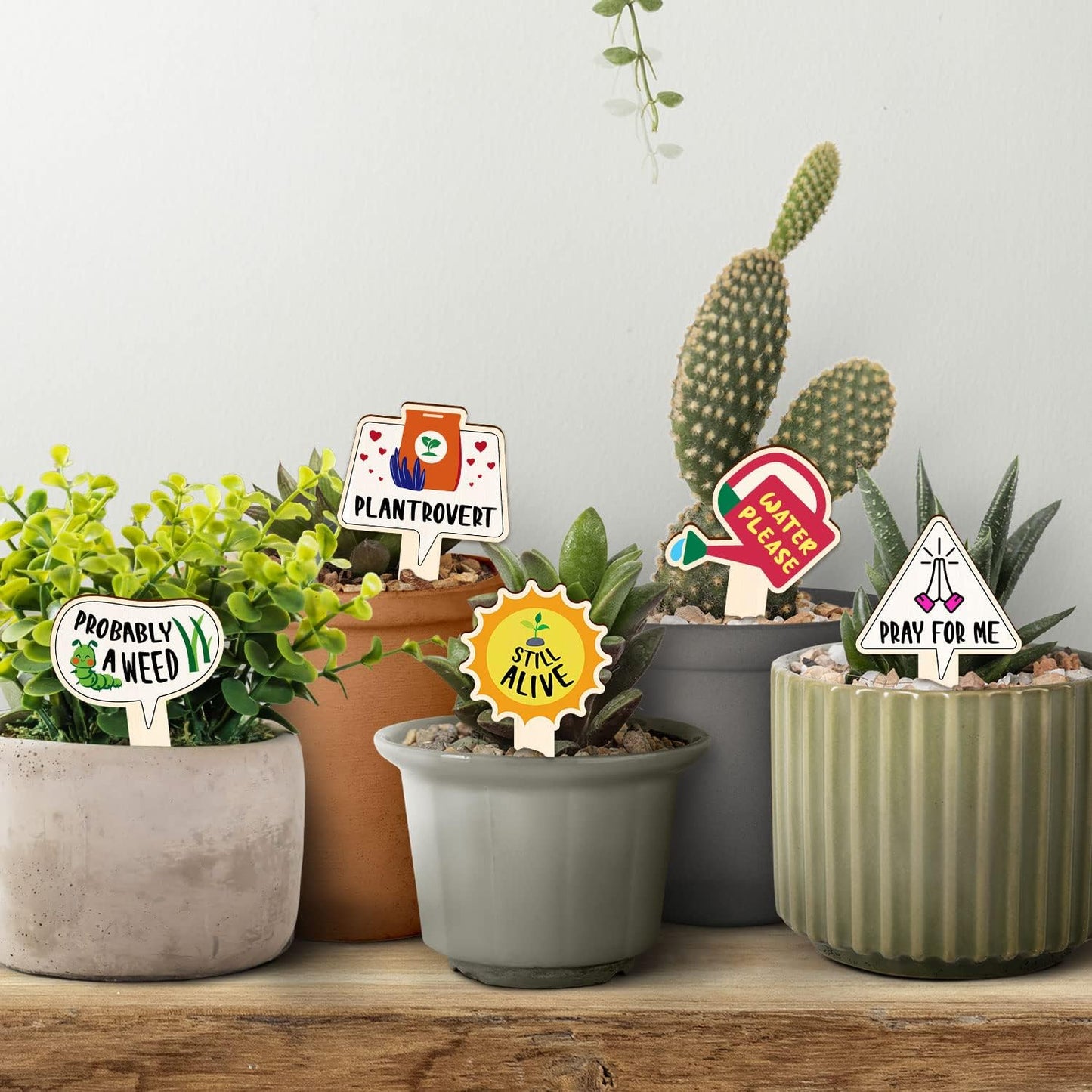 Funny Wooden Plant Labels - 15 Pack Tags for Succulents, Flowers, Greenery; Waterproof, Outdoor Garden Plant Markers; Perfect Gifts for Plant Lovers