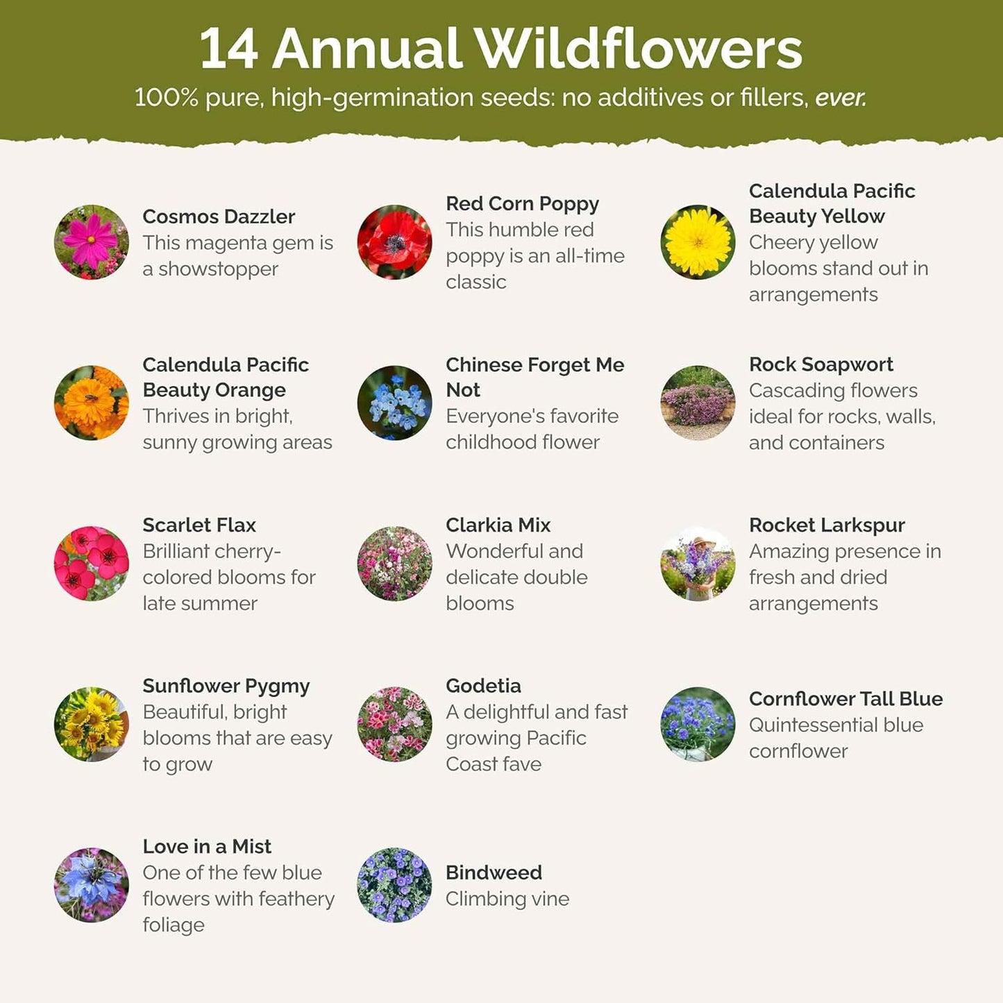 Eden Brothers Fairytale Flower Mixed Seeds for Planting, 1 lb, 480,000+ Seeds with Calendula, Cosmos Dazzler, Cornflower | Attracts Pollinators, Plant in Spring or Fall, Zones 3, 4, 5, 6, 7, 8, 9, 10