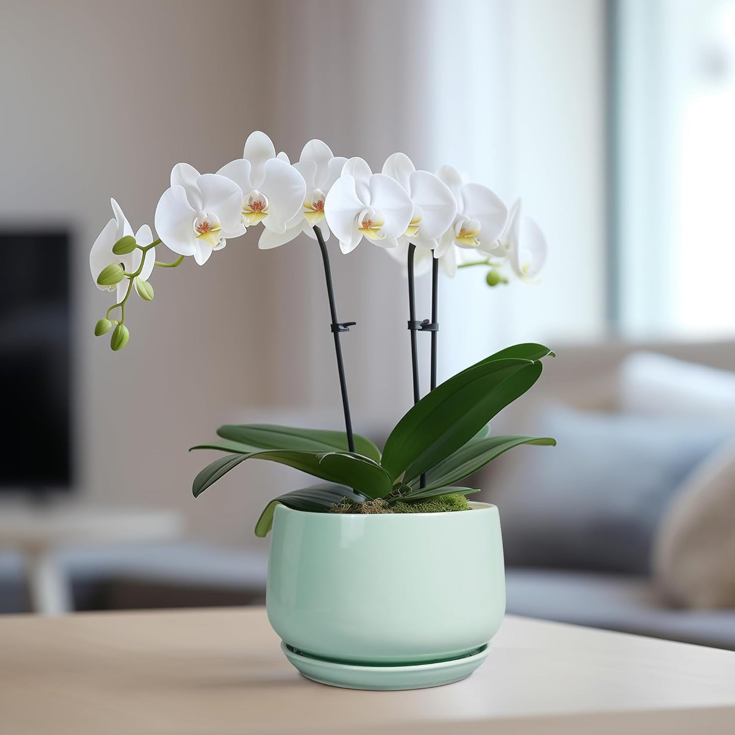 G EPGardening Ceramic Plant Pots - 6 Inch Pot for Plants, Ceramic Planter with Drainage and Saucer, Flower Indoor Outdoor Planter, Modern Bathroom Decor, Birthday Gifts, Green