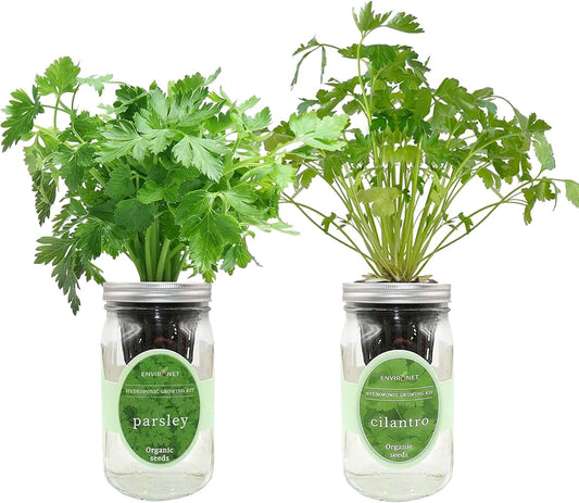 2-Pack Hydroponic Mason Jar Herb Garden Kit, Indoor Herb Garden Self-Watering Starter Kit (Parsley,Cilantro)