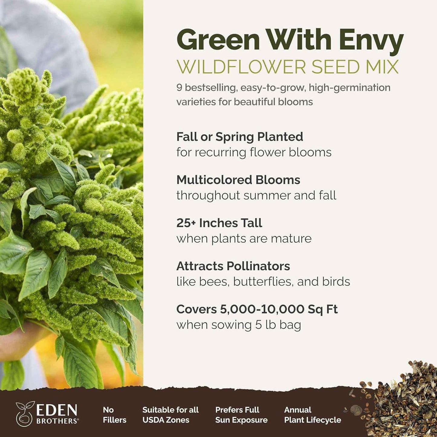 Eden Brothers Green with Envy Flower Mixed Seeds for Planting, 5 lb, 2,400,000+ Seeds with White Yarrow, Cornflower White | Attracts Pollinators, Plant in Spring or Fall, Zones 3, 4, 5, 6, 7, 8, 9, 10