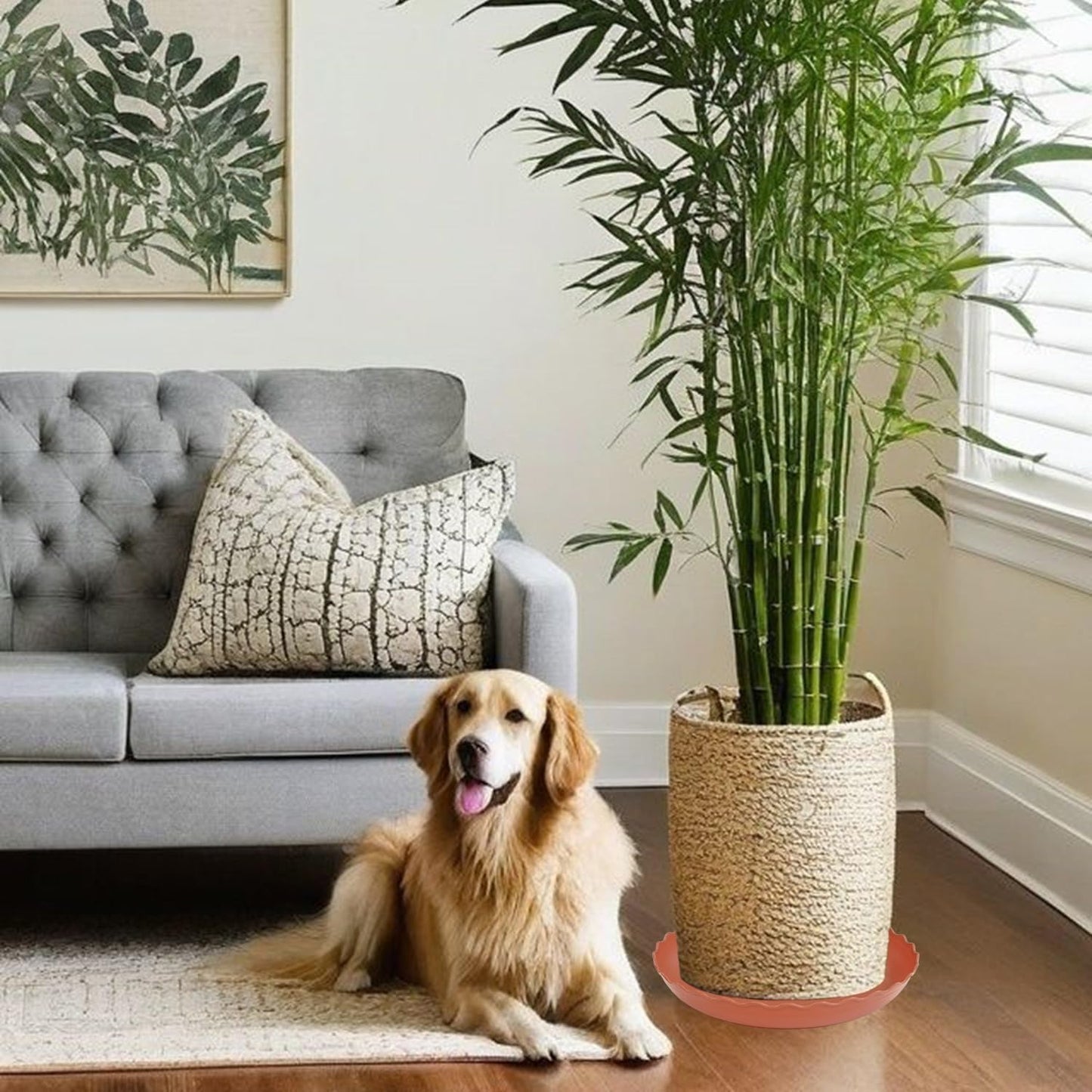 6 Pack Plant Saucer 10 inch, Heavy Duty Plastic Plant Saucers, Durable Plant Tray for Pots, Flower Saucers for Indoors, Plant Pot Saucers, Trays for Planter (Terracotta)