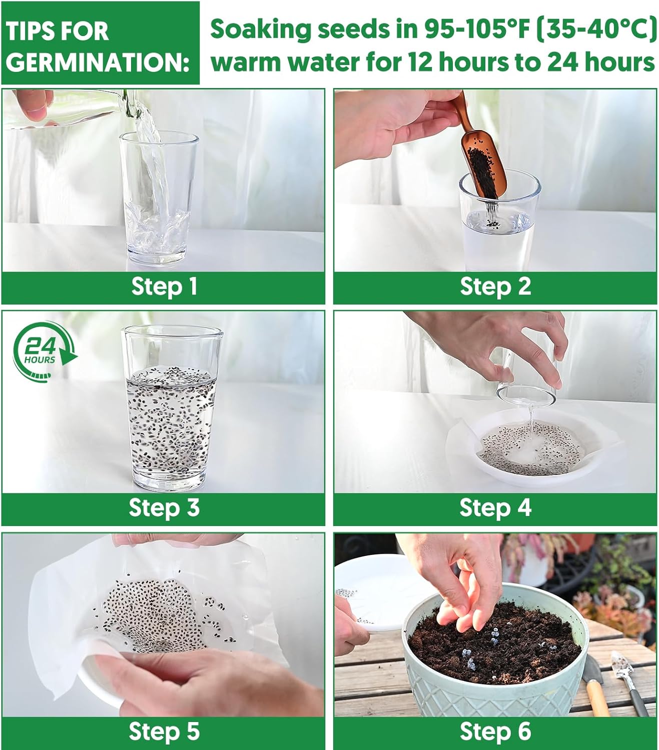 600+ Pepper Seeds, Heirloom Vegetable Seed for Planting Indoor Outdoor, 10 Varieties Hot and Bell Pepper (Capsicum Annuum) Seeds Garden Kit, Non-GMO Home Fresh Food Hydroponic Veggie Supply