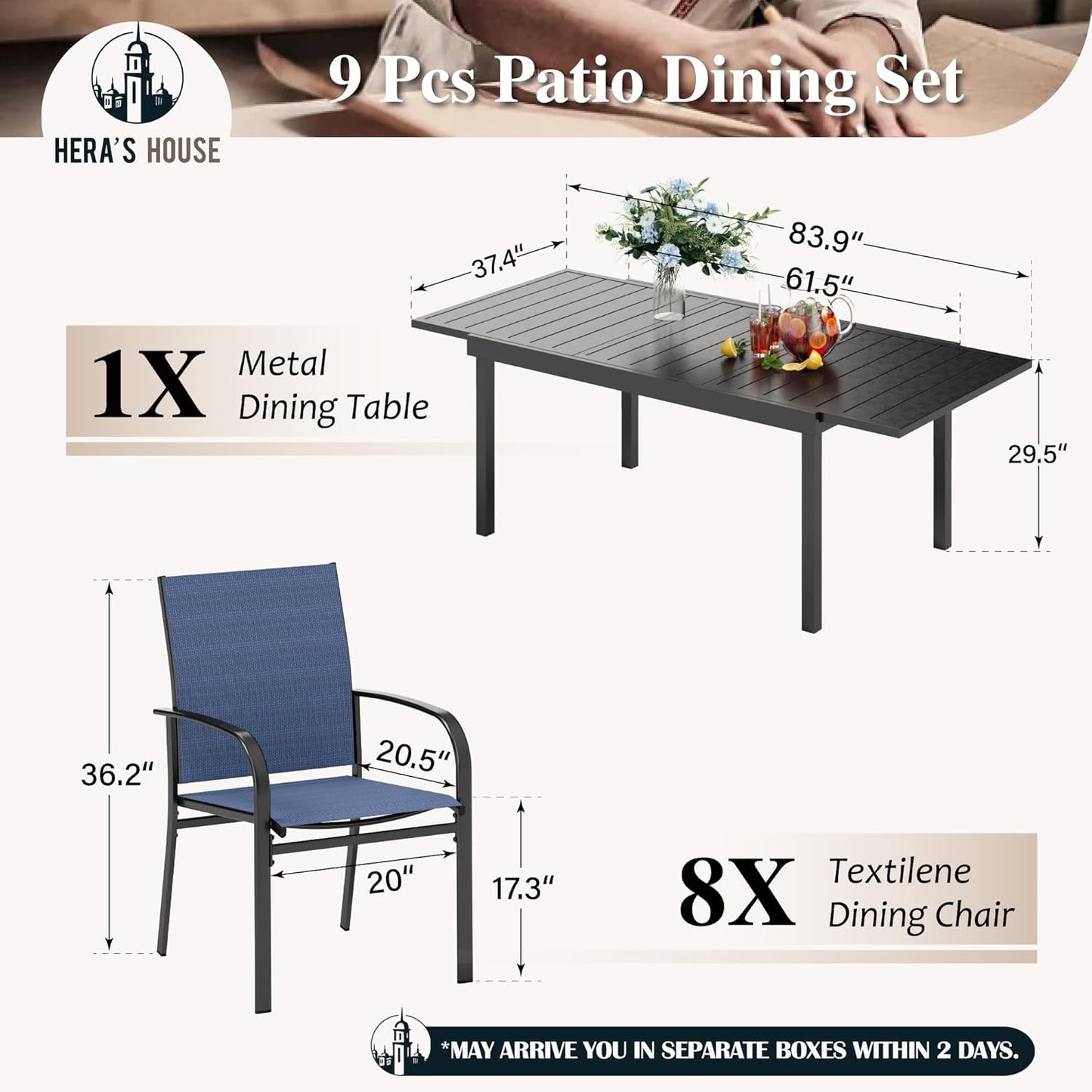 HERA'S HOUSE 9 Pieces Outdoor Table and Chairs Set, 8 x Patio Chairs and 1 x Extendable Metal Dining Table for Lawn Garden Backyard Deck