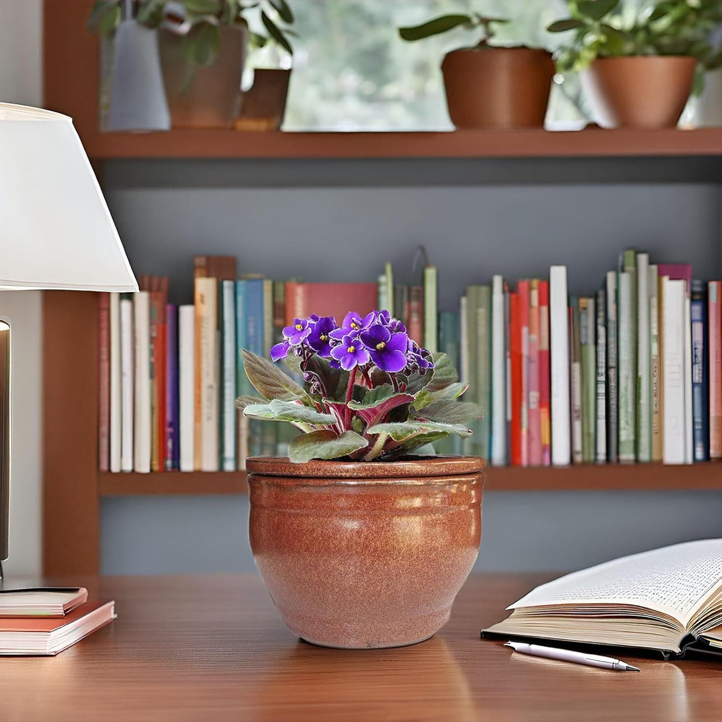 African Violet Pots Self Watering Round Ceramic Violet Pot (Copper, 6 inch)