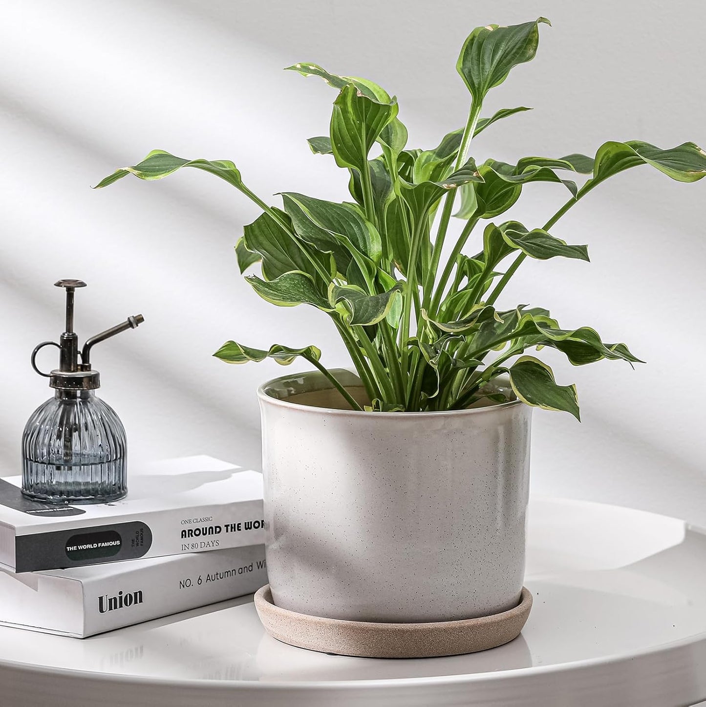 8 Inch Plant Pot: Ceramic Planter with Drainage Hole & Saucer for Indoor Outdoor Plants - Flowerpot with Bonded Tray for Home Office - Retro Style, Grey