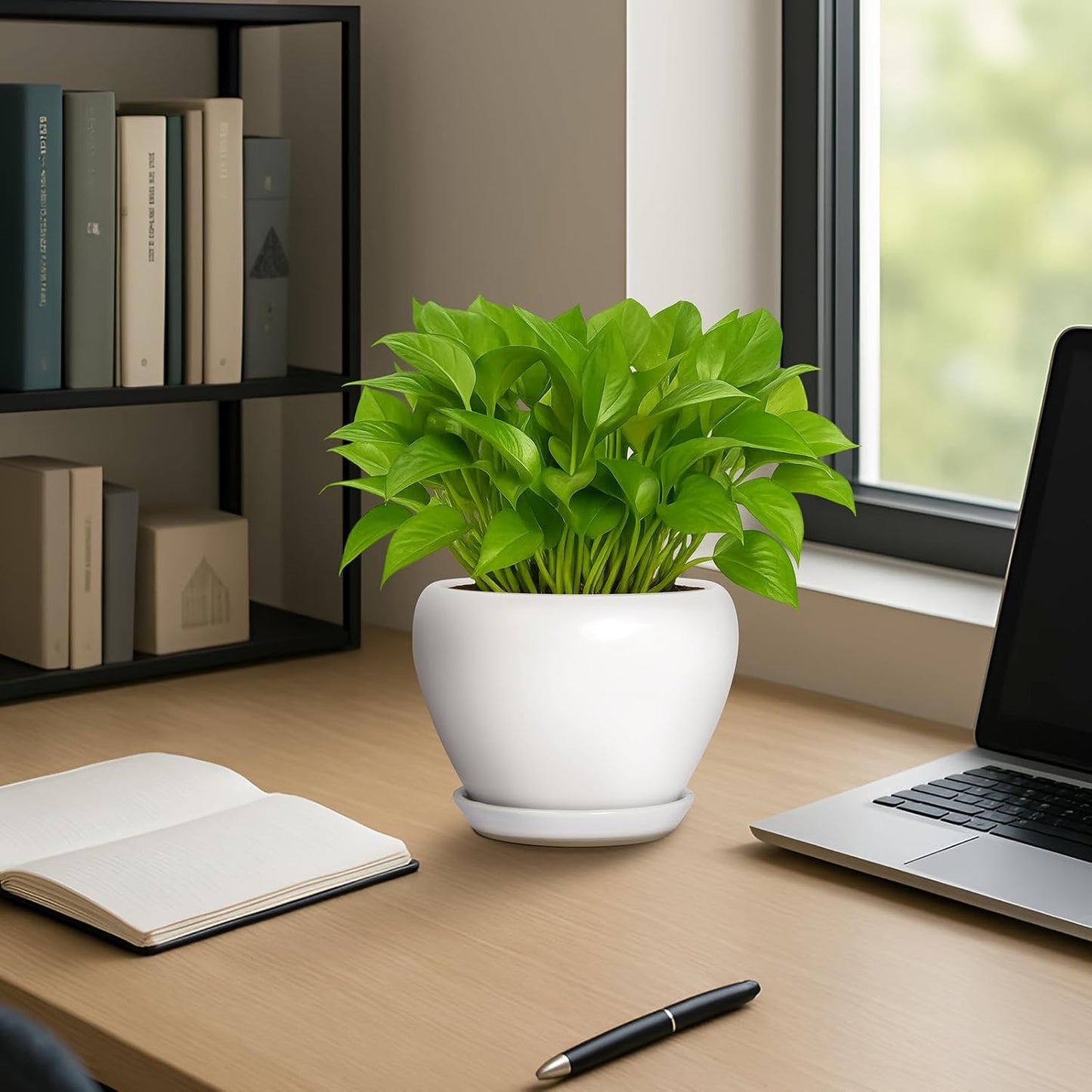 Deep Dream 6 Inch Plant Pot - Ceramic Planter with Drainage Hole and Trays, Modern Round Flower Pot, Planters for Indoor Outdoor Plants, Home Garden Decor, White