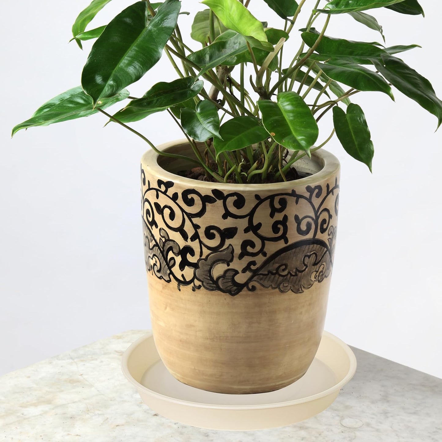 4 Pack of 14 inch Plant Saucers Bird Bath Bow Round, Plastic Plant Saucer Tray for Pots, White Planters for Indoor Plants, Plant Trays for Planter 12-15" (14", Beige)