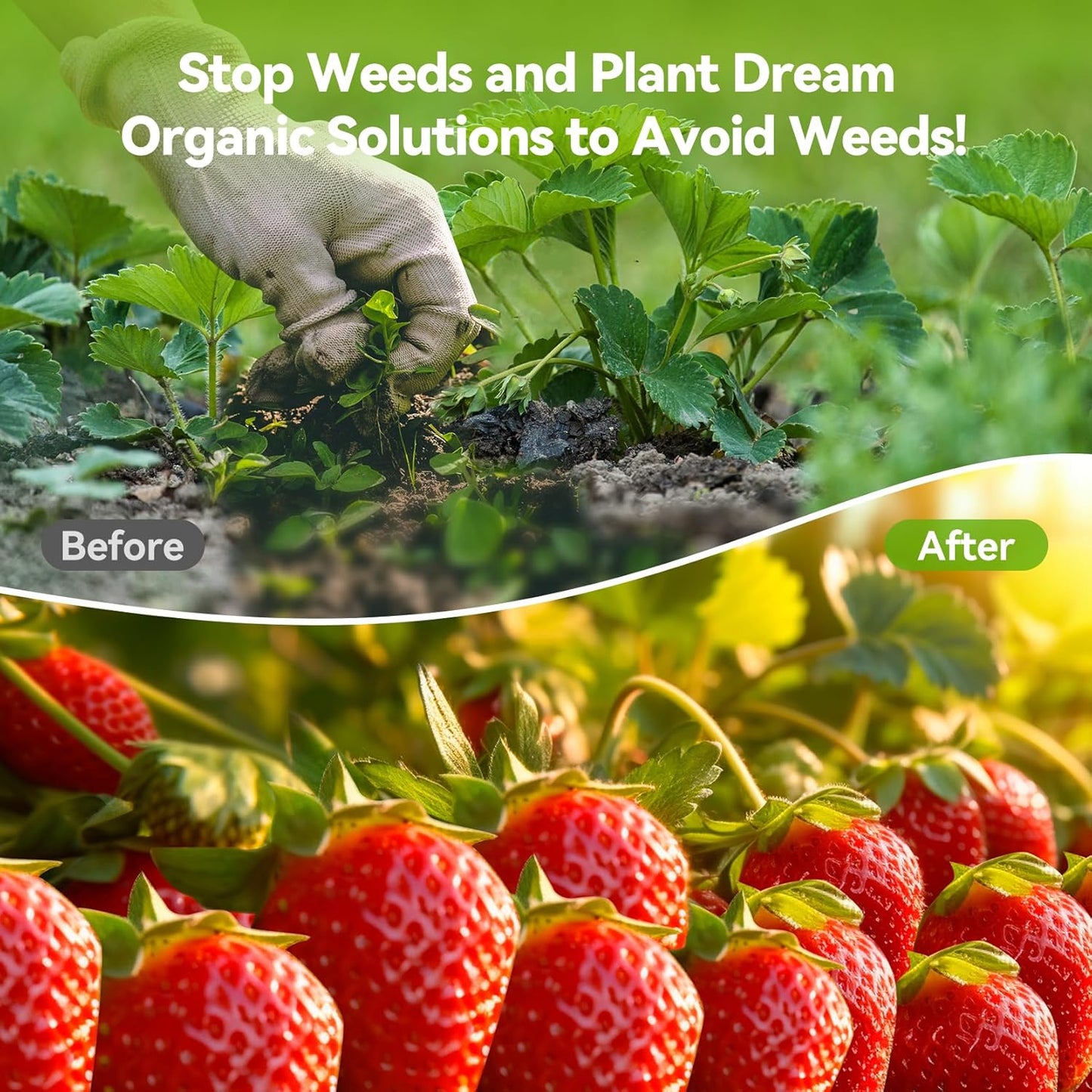 3ftx50ft Weed Barrier Landscape 3.2oz Fabric Heavy Duty, Woven Weed Control Cloth, Woven Geotextile Fabric for Underlayment, Gardening Ground, Commercial Driveway Weed Block Cover Mat