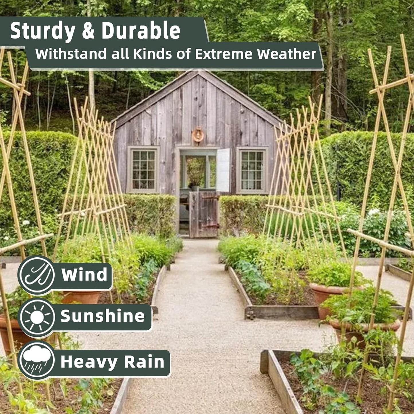 50Pcs / 4ft Bamboo Plant Stakes for Indoor Outdoor Plants, Garden Plant Support Sticks, Poles for Tomato Vegetables Beans Trees Potted Climbing Plants(0.32''-0.4'')