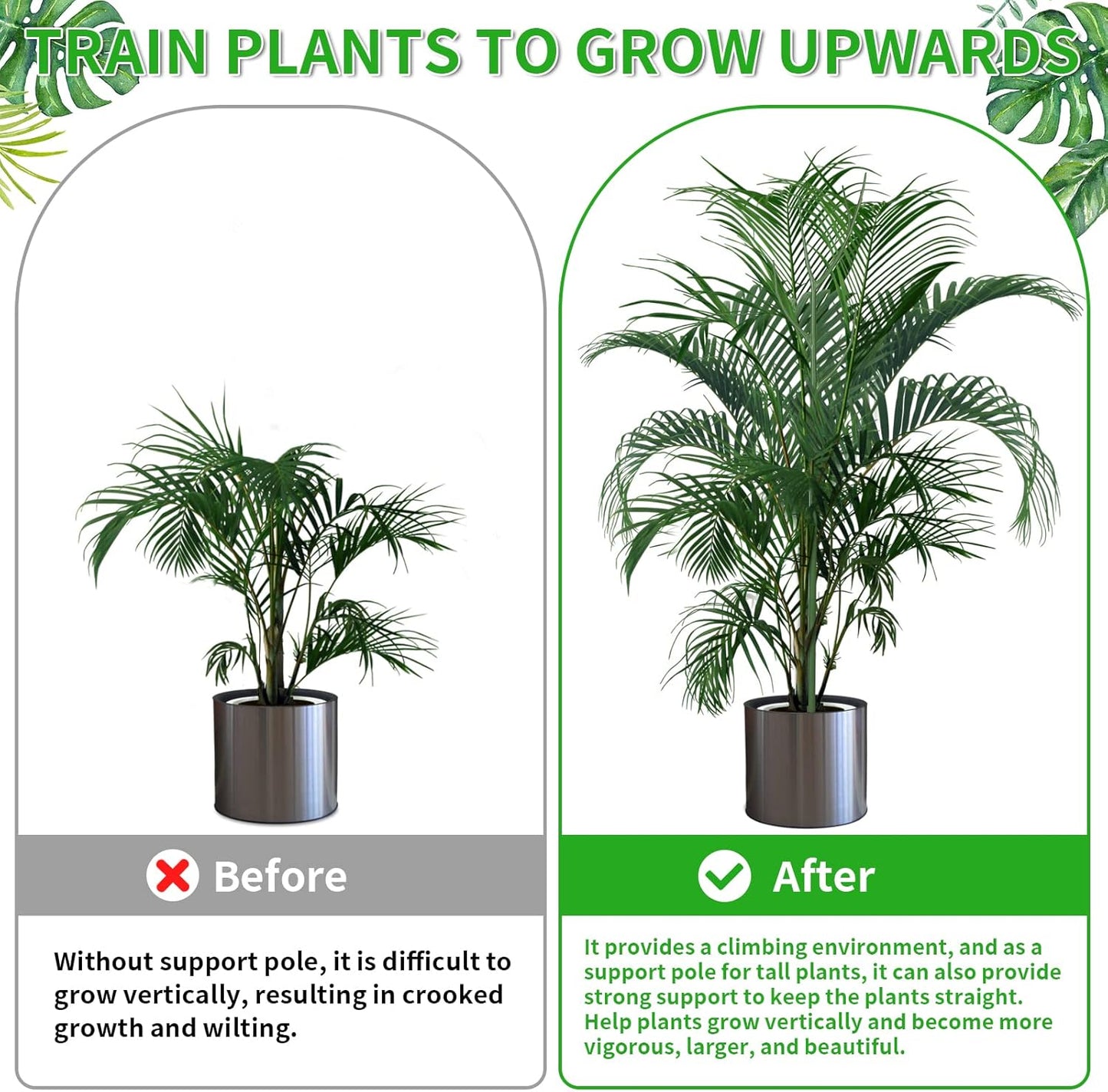 2 Pack 27.56" Detachable Twig Plant Support Stakes Set, Blends in to Plant, Branch Plant Sticks with Orchid Clips Twist Plant Ties, Twig Trellis for Indoor Outdoor Plants Potted Plants Flower