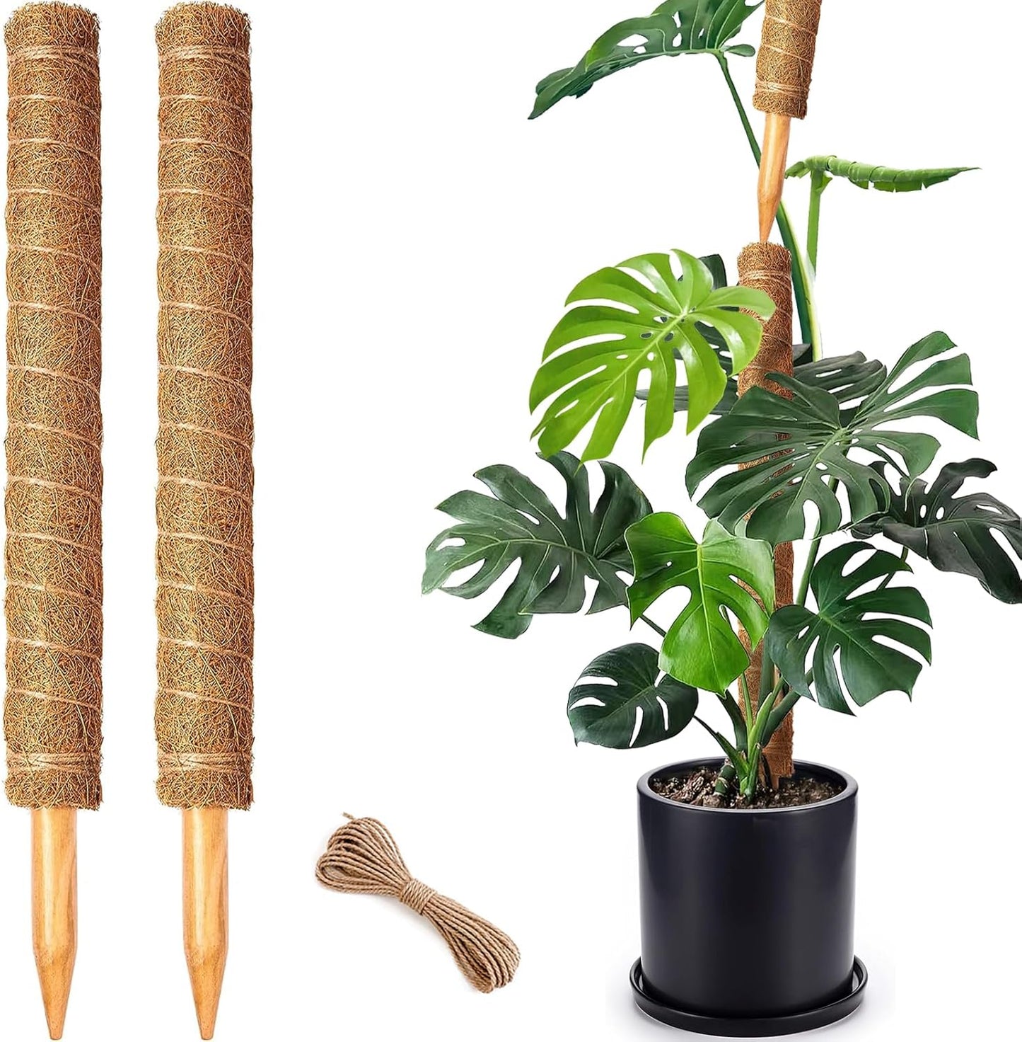 2 Pack 21 Inch Moss Poles, Stackable Moss Pole for Plants Monstera, 37 Inch Tall Moss Poles for Climbing Plants Indoor, Coir Totem Plant Support Stakes Stand for Potted Plants, Pothos