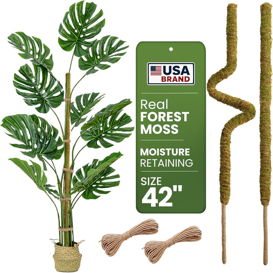 2 Pack 42'' Bendable Moss Pole Monstera Plant Support - Real Forest Moss for Climbing Indoor Plants - Stakes for Potted Climbers - Tall Sticks Indoor Trellis for Houseplants - Pot Accessories