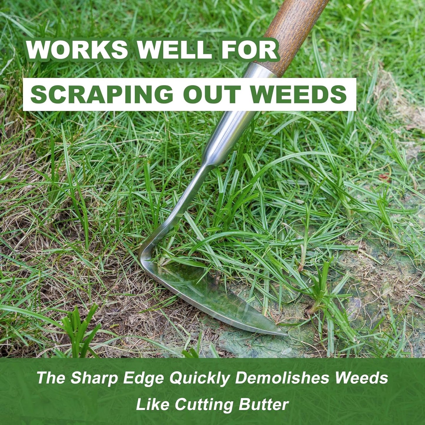 Haliaeetus Sickle Hoe, 58'' Long Handle Japanese Hand Hoe for Standing to Remove Weed, Stainless Steel Scraper Hoe, Bent Angle Weeding Sickle for Fastly Scraping Out Weed on Flower Bed, Between Plants