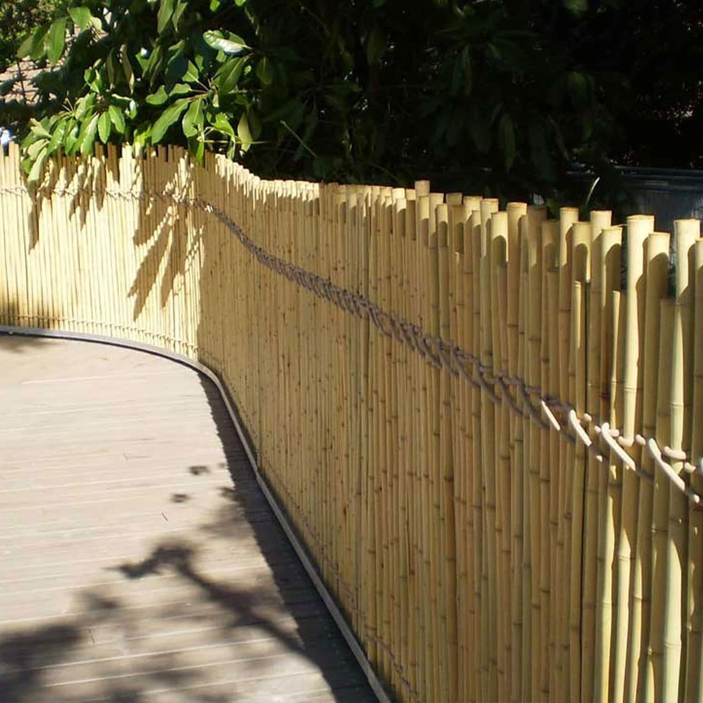 FOREVER BAMBOO 90" L Solid Bamboo Poles for Structural Design and Weight-Bearing Support (6-Pack)